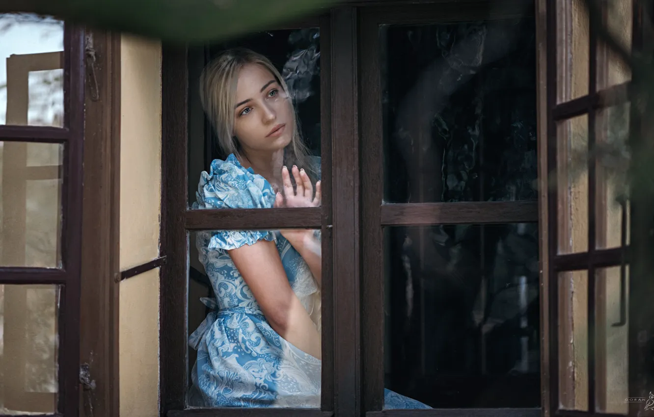 Фото обои взгляд, девушка, платье, окно, блондинка, Goran Dobožanov