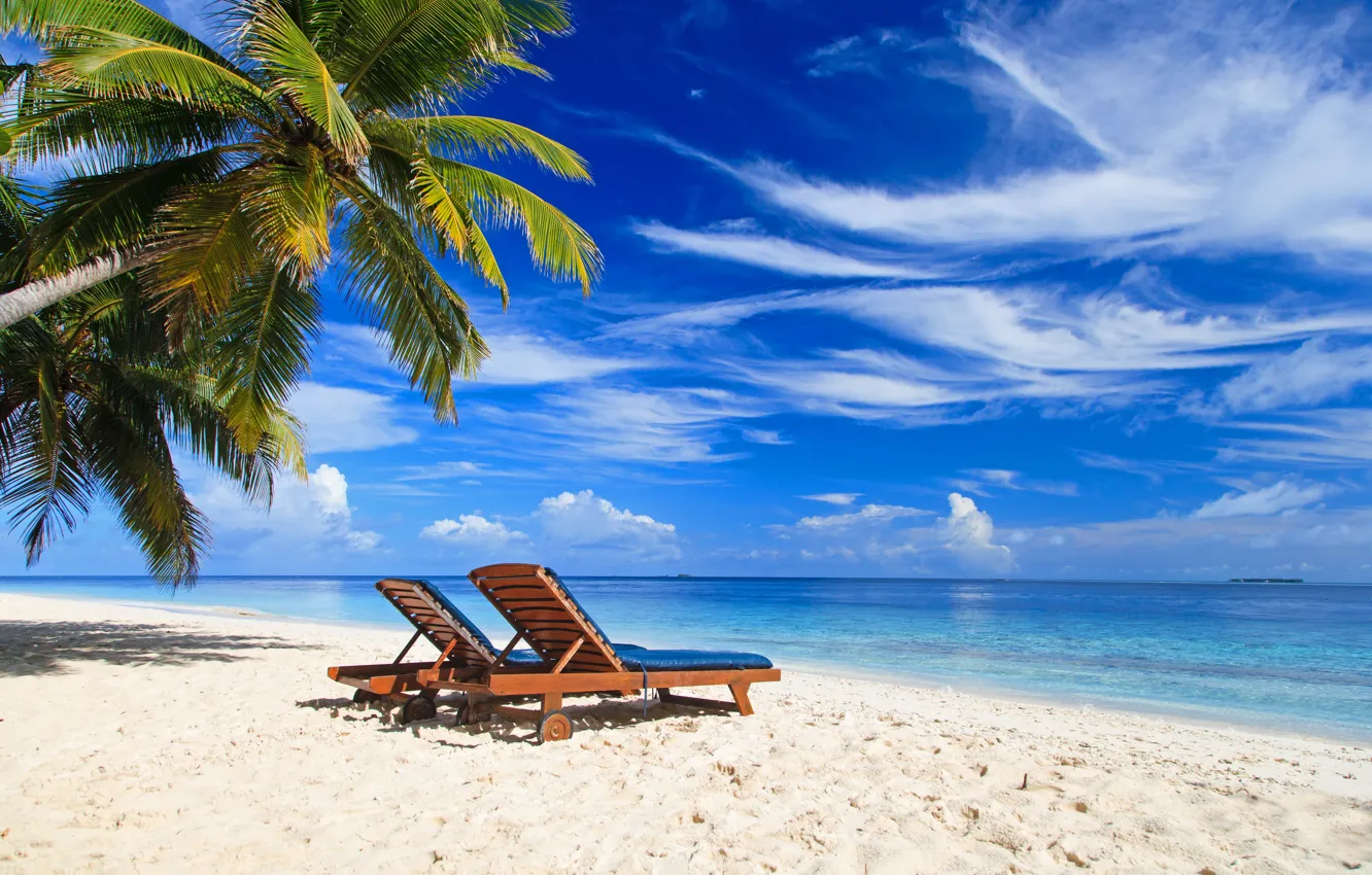 Фото обои песок, море, пляж, лето, пальмы, summer, beach, sea