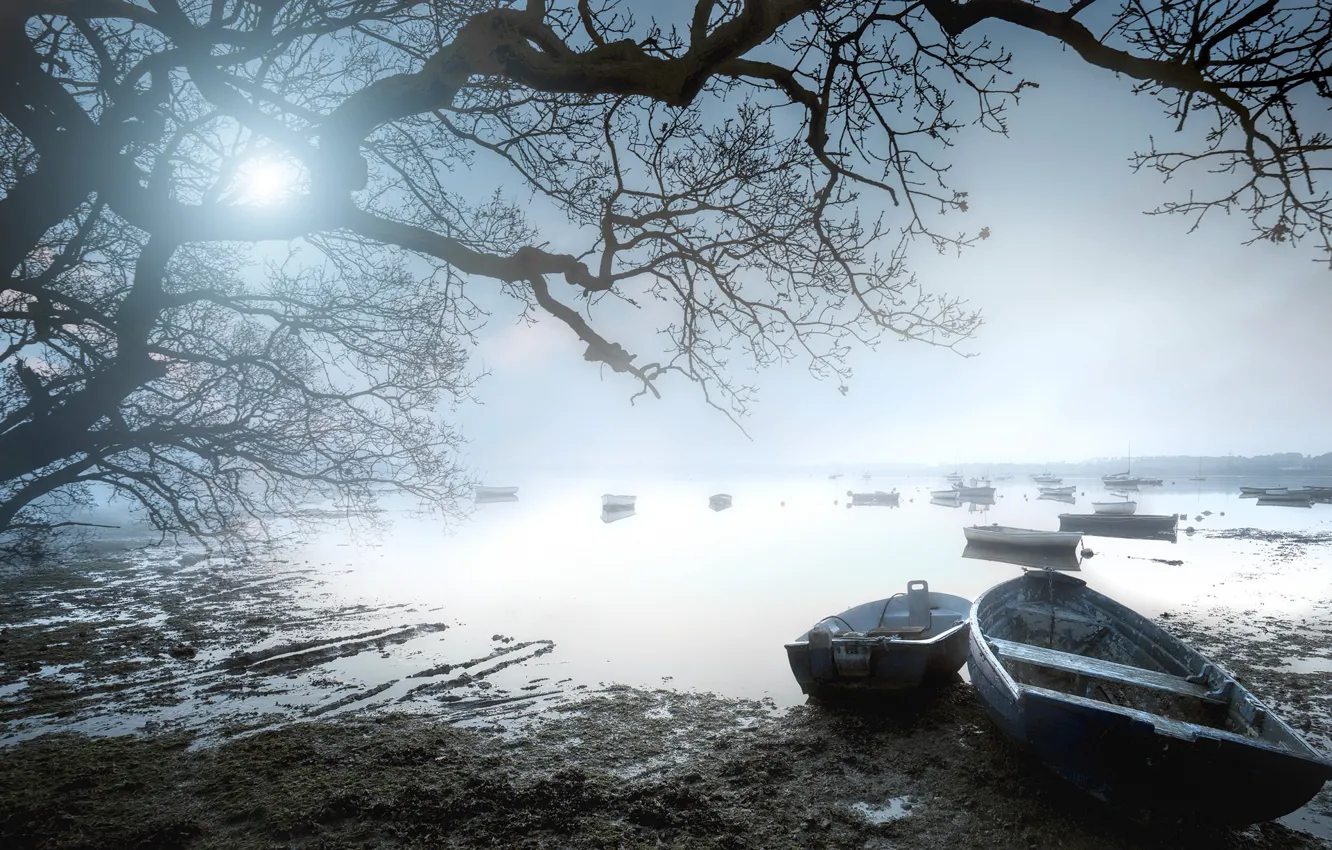 Фото обои свет, туман, озеро, лодки, утро