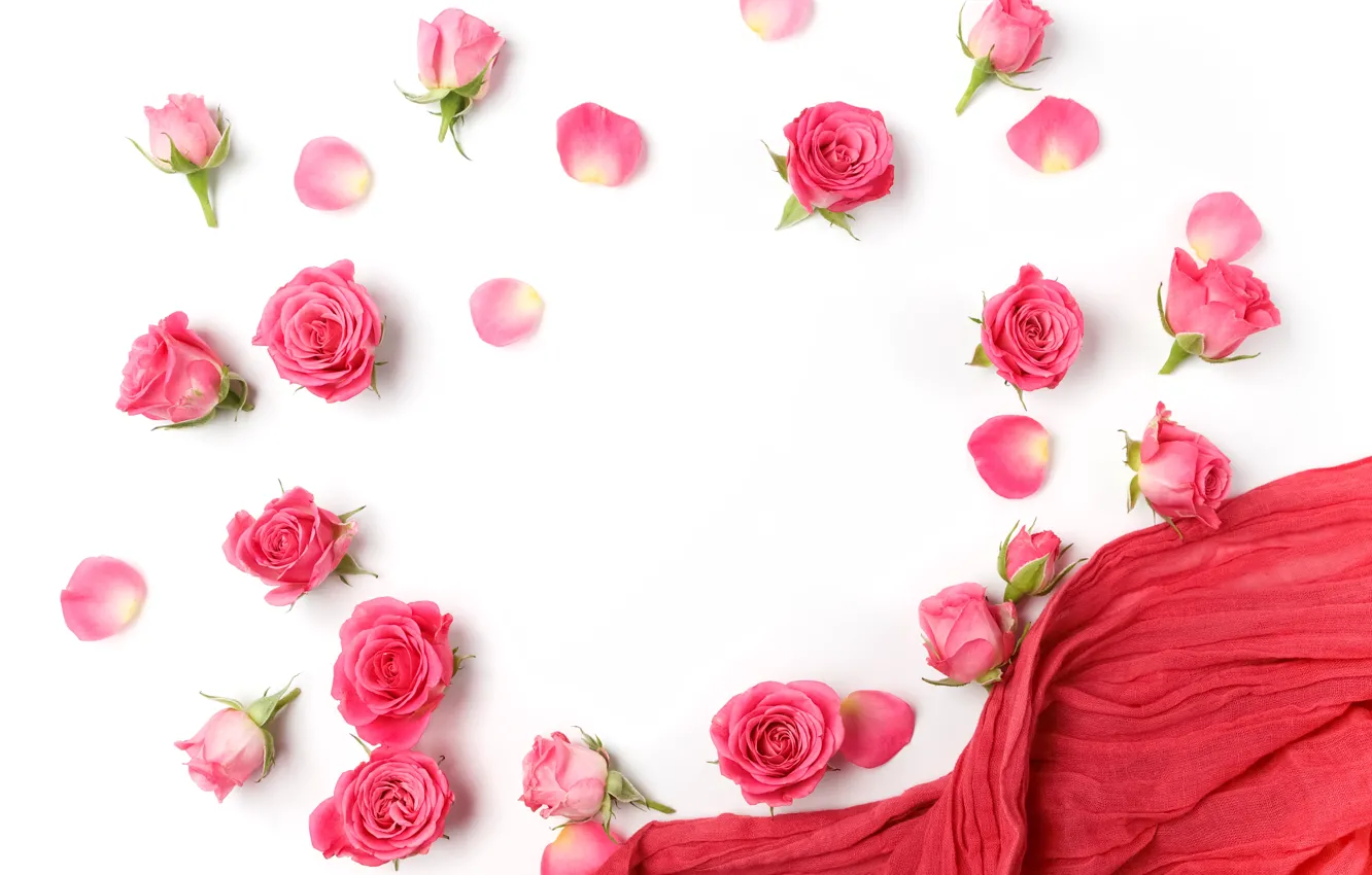 Фото обои розы, бутоны, pink, flowers, romantic, roses