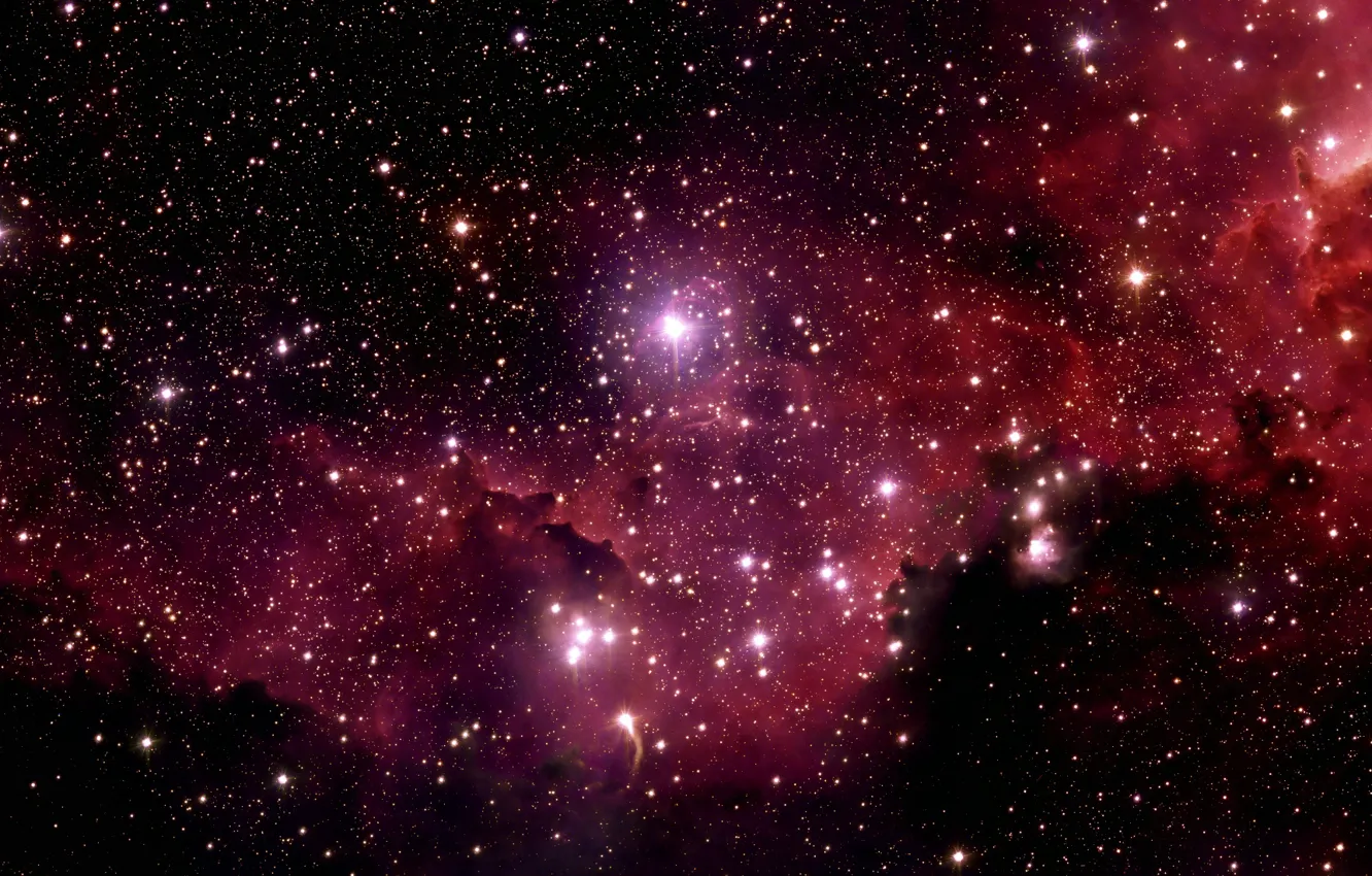 Фото обои Stars, Nebula, Chili, La Silla Observatory, Wide Field Imager, IC 2177, The Seagull Nebula, Constellation …
