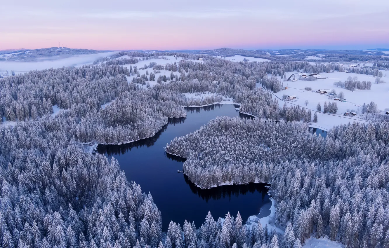 Фото обои лес, природа, озеро