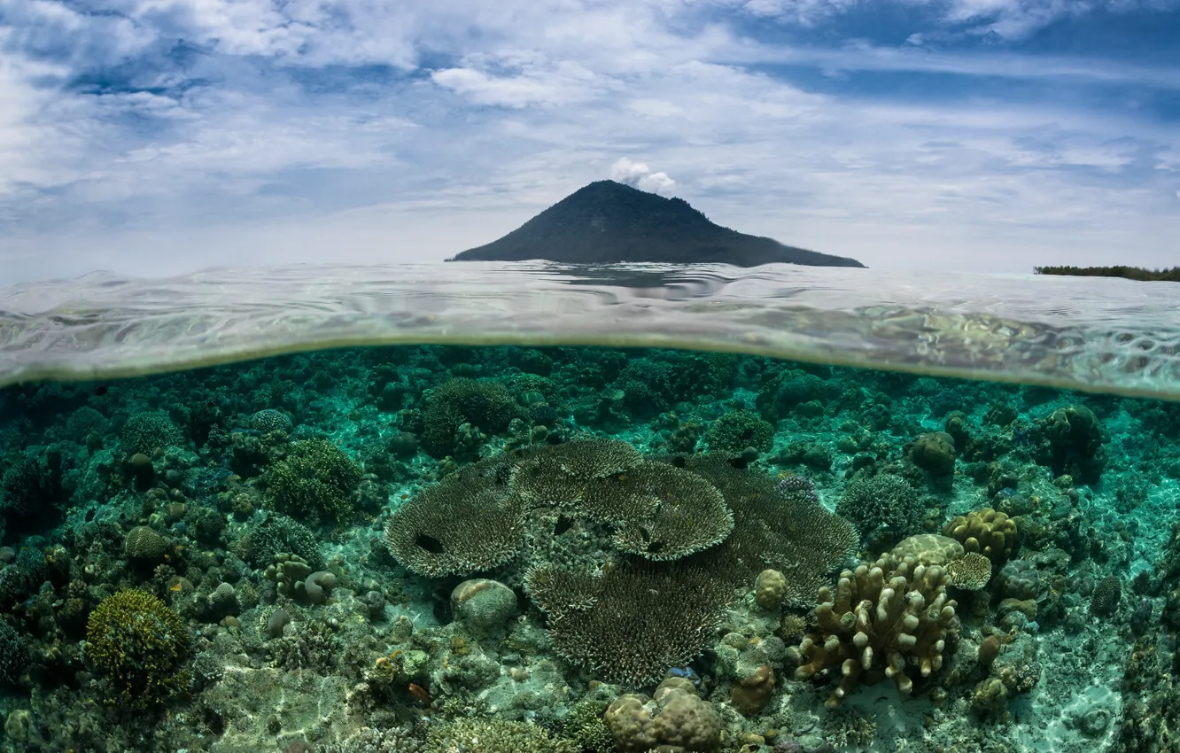 Фото обои море, небо, вода, облака, водоросли, туман, волна, вид