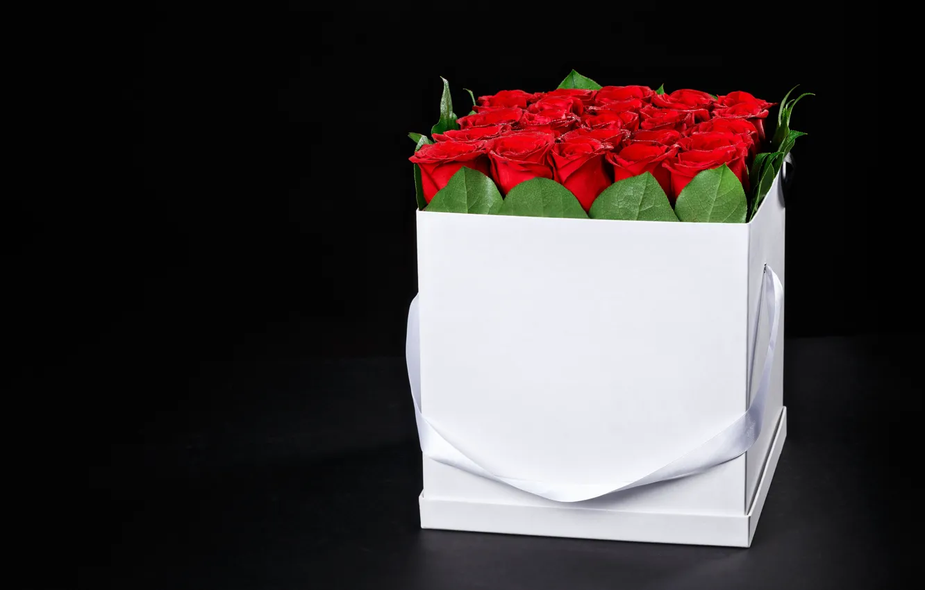 Фото обои red, love, rose, box, romantic, Maxim Denisenko