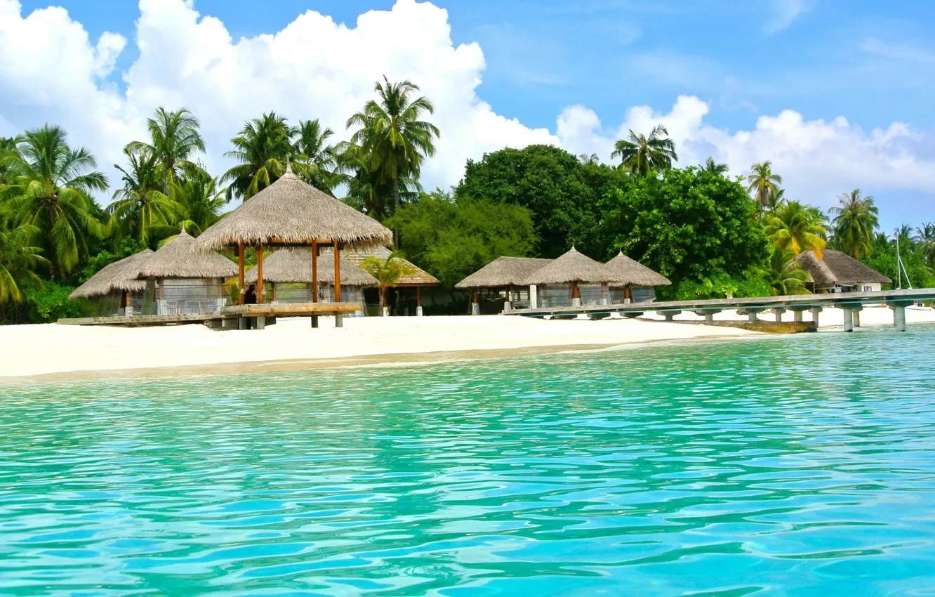Фото обои пляж, тропики, пальмы, океан, курорт, белый песок, Maldives, бунгала
