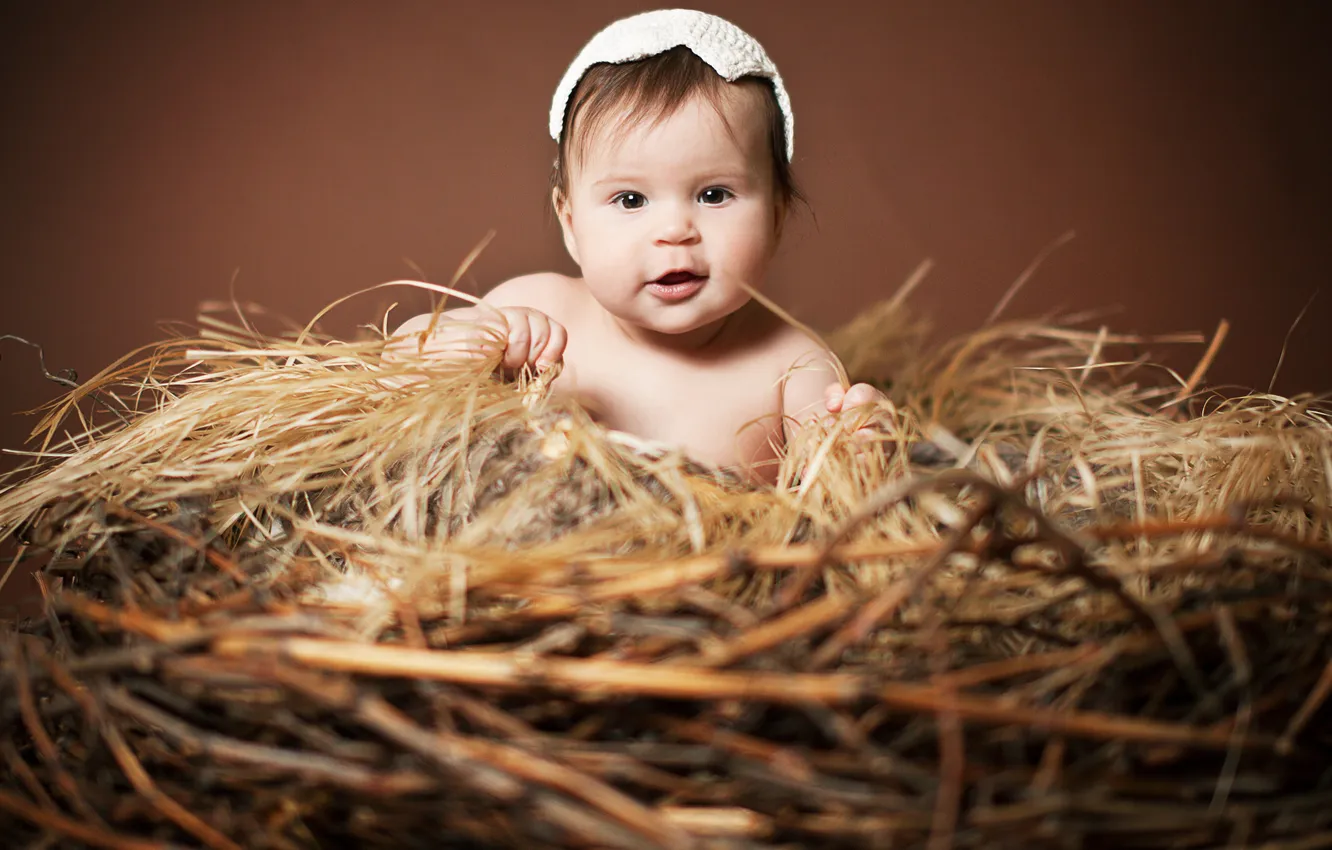 Фото обои дети, малыш, гнездо, ребёнок, шапочка, Анна Леванкова