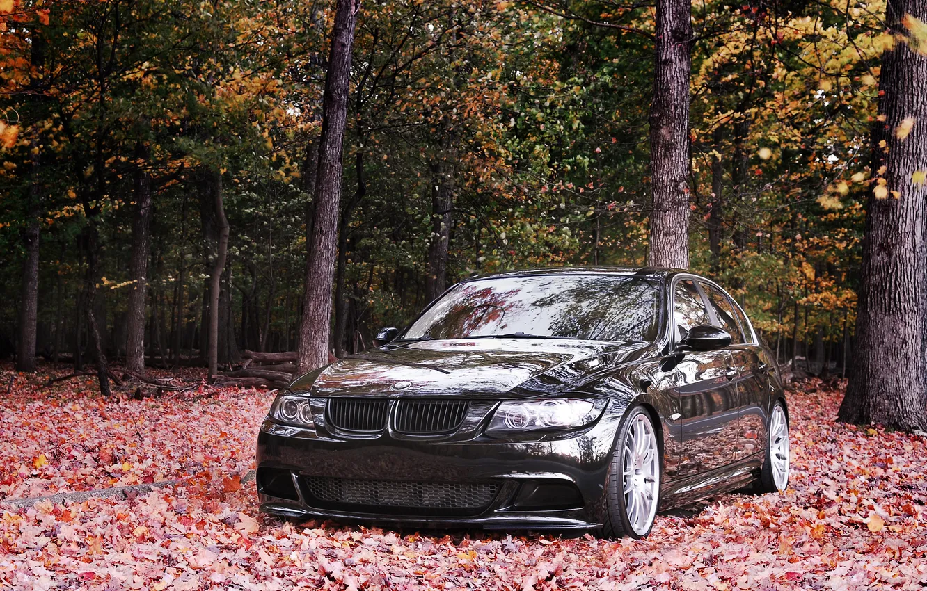 Фото обои осень, тюнинг, BMW, 335i