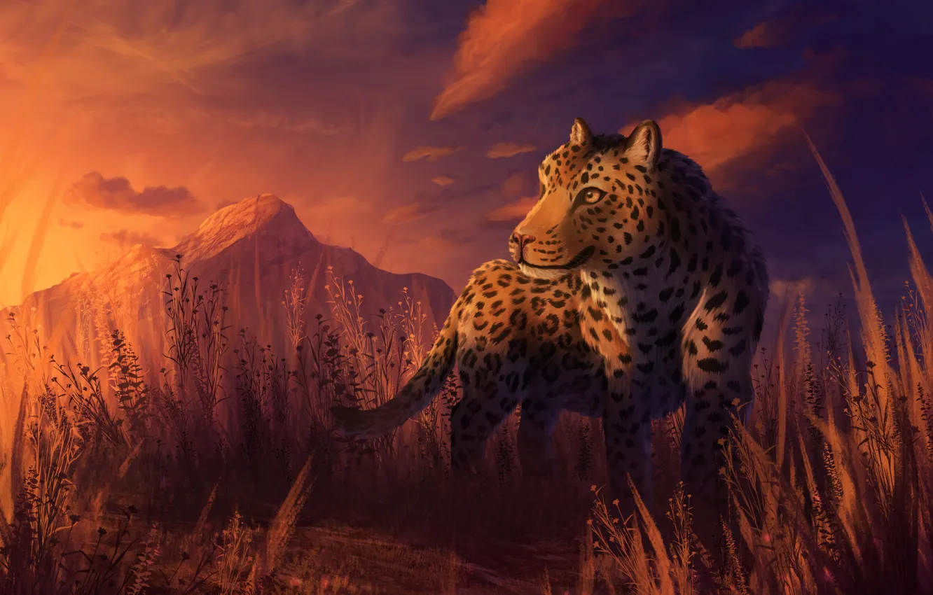 Фото обои закат, природа, леопард, by CreeperMan0508