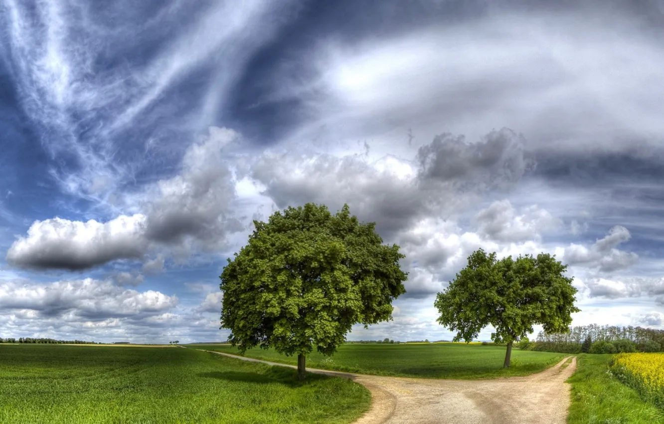 Фото обои дорога, небо, трава, облака, деревья