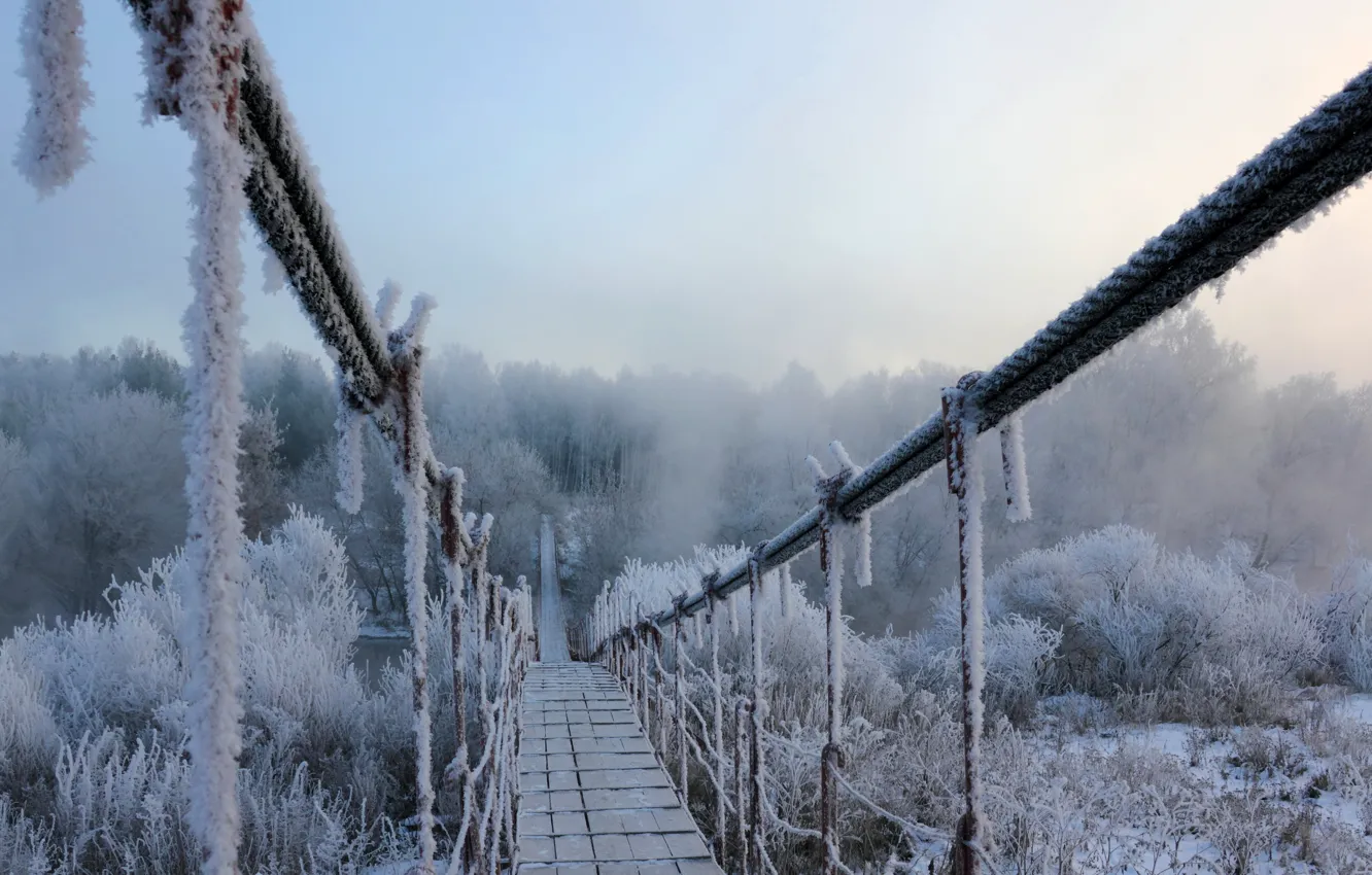 Фото обои зима, иней, снег, мост