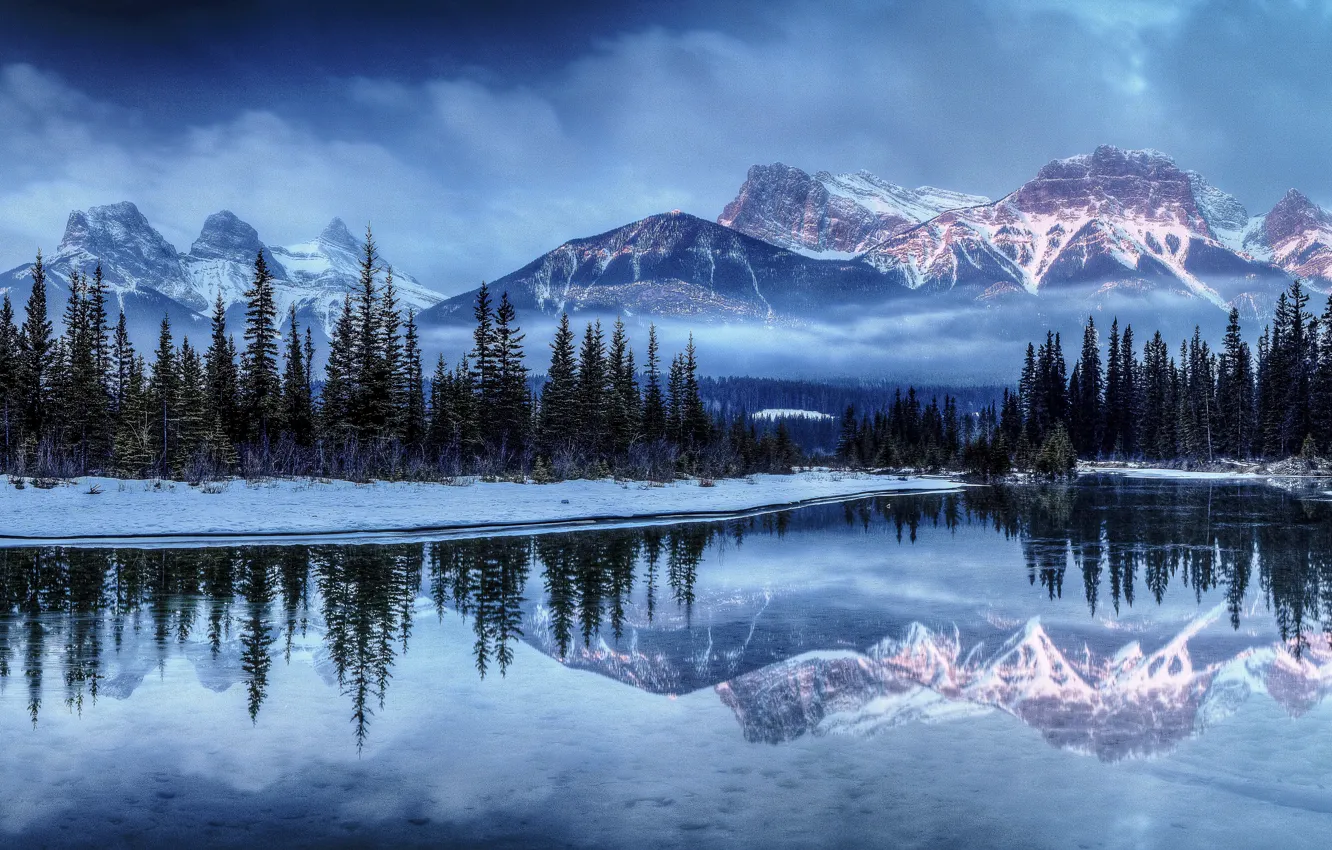 Фото обои зима, лес, снег, горы, туман, озеро, елка, ель