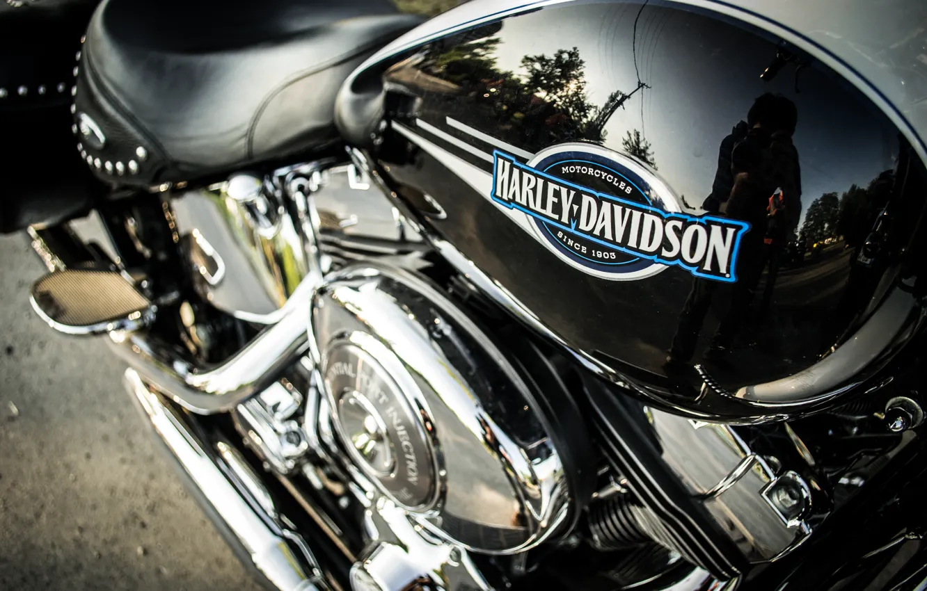 Фото обои metal, bike, Harley-Davidson