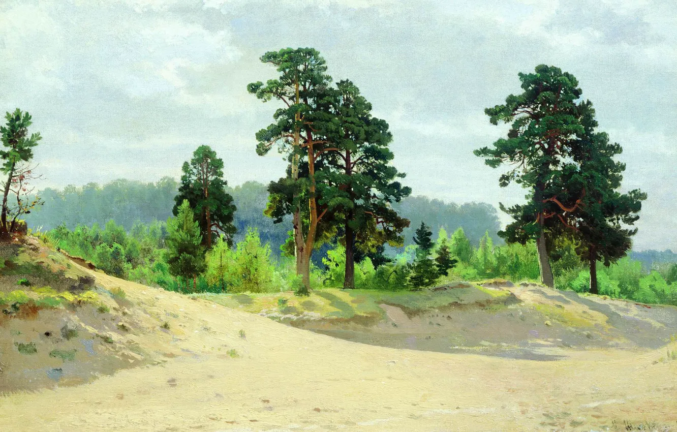 Фото обои лес, пейзаж, реализм, Шишкин, 1890, Опушка леса