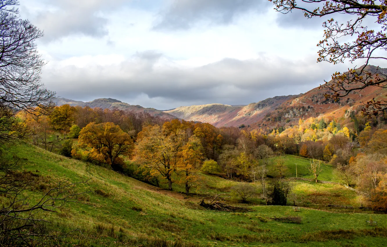 Фото обои осень, лес, трава, облака, деревья, горы, Англия, Grasmere