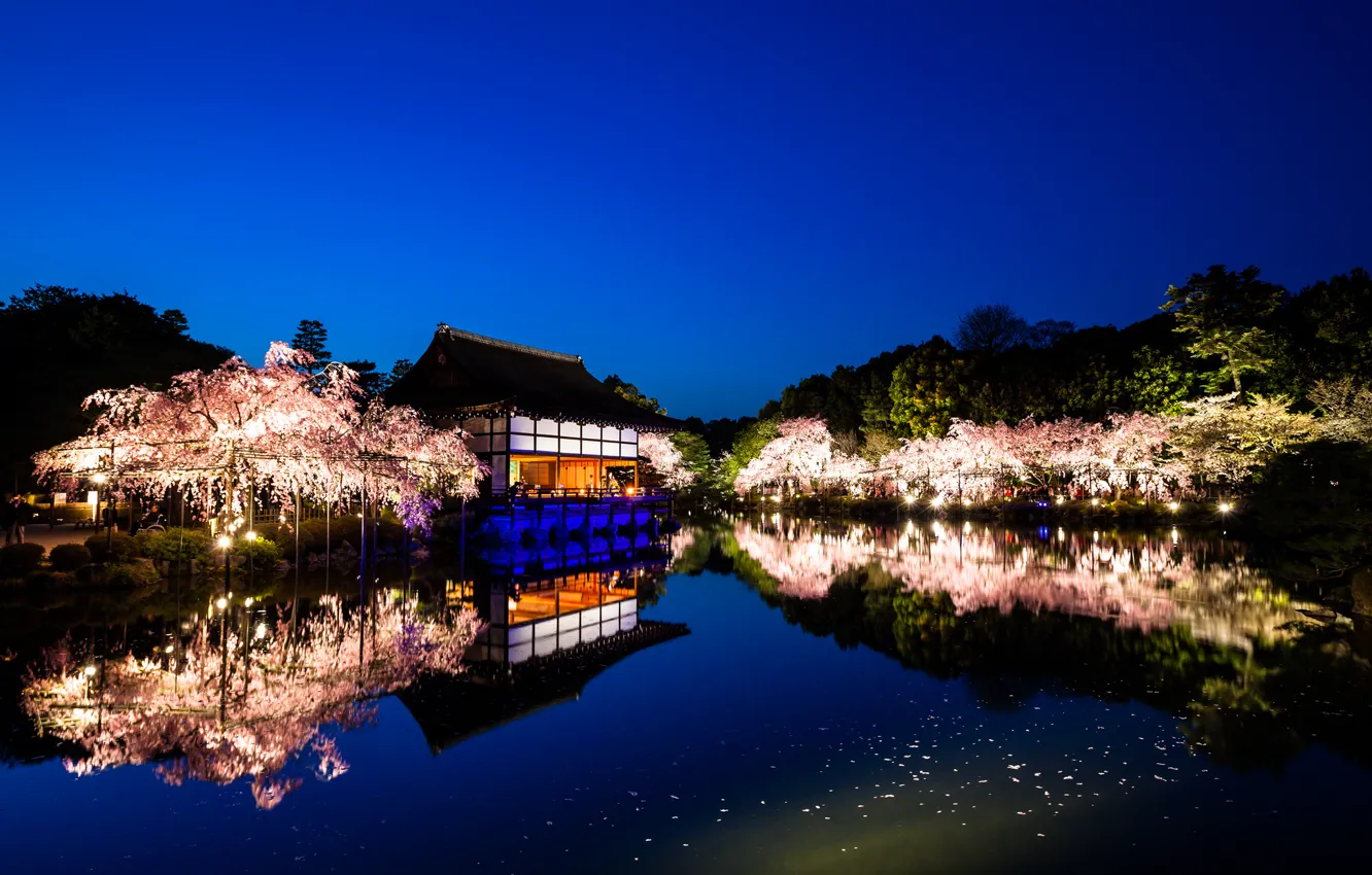Фото обои вода, деревья, пейзаж, природа, отражение, вечер, Япония, сакура