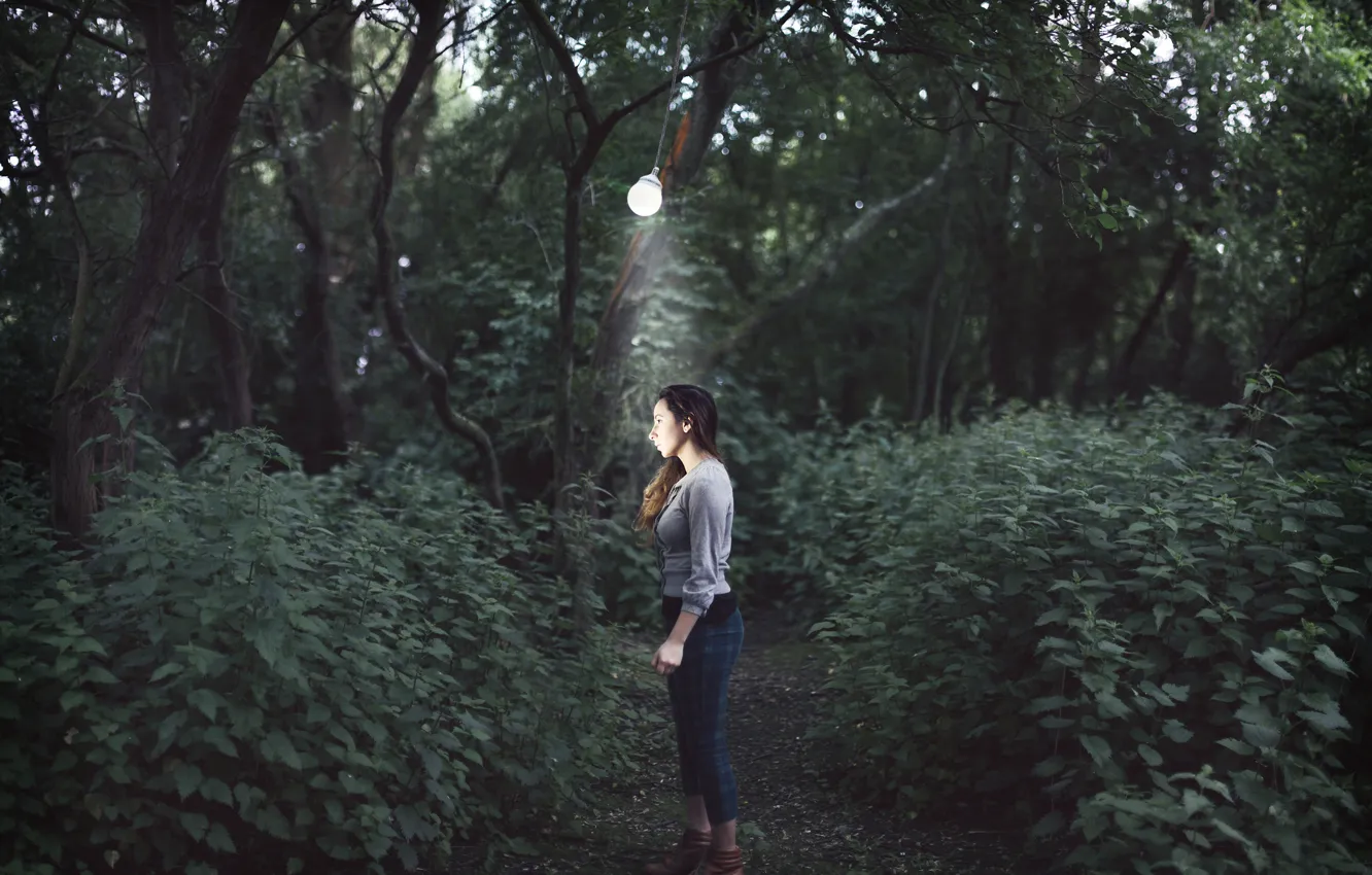 Фото обои лес, девушка, лампа, Overwhelming darkness