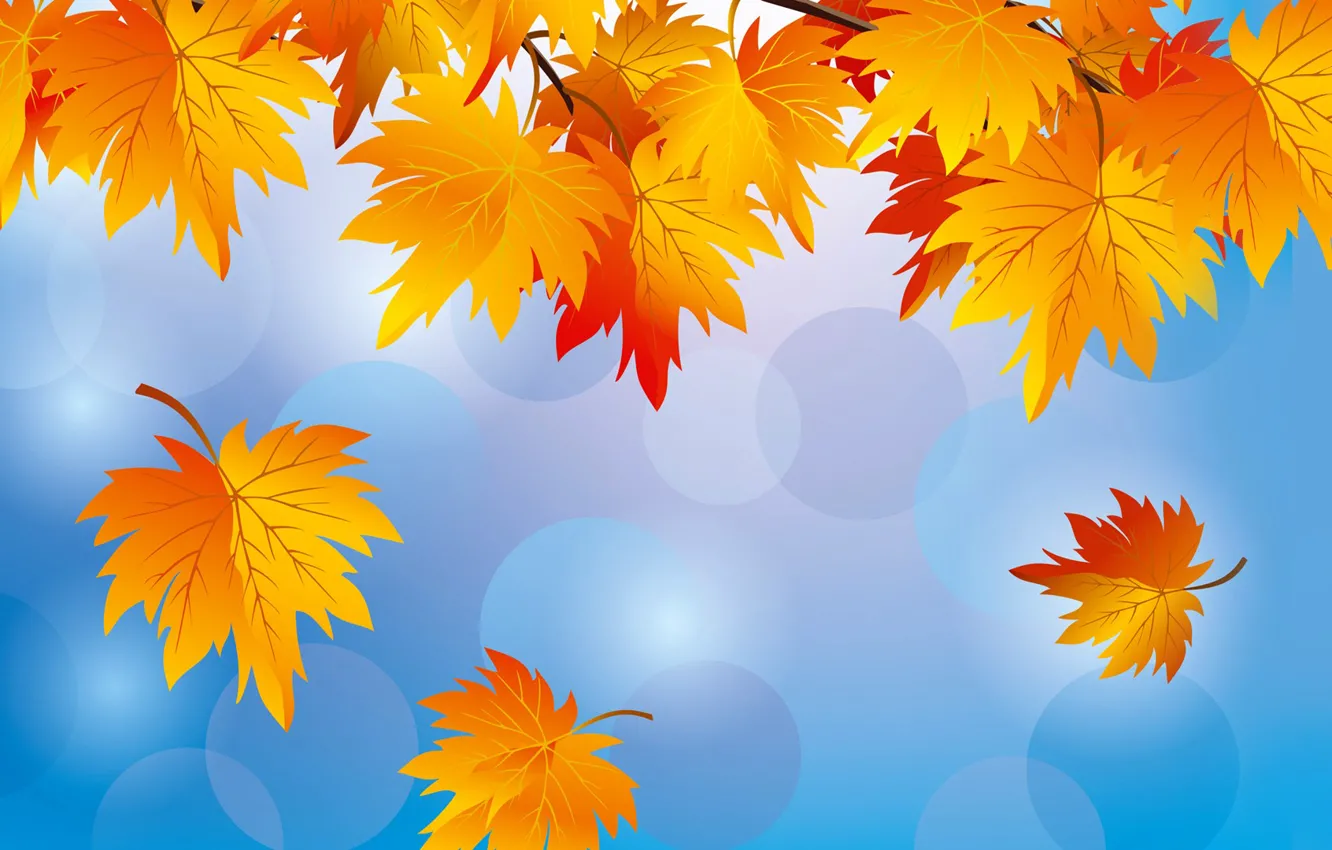 Фото обои осень, небо, листья, природа, вектор