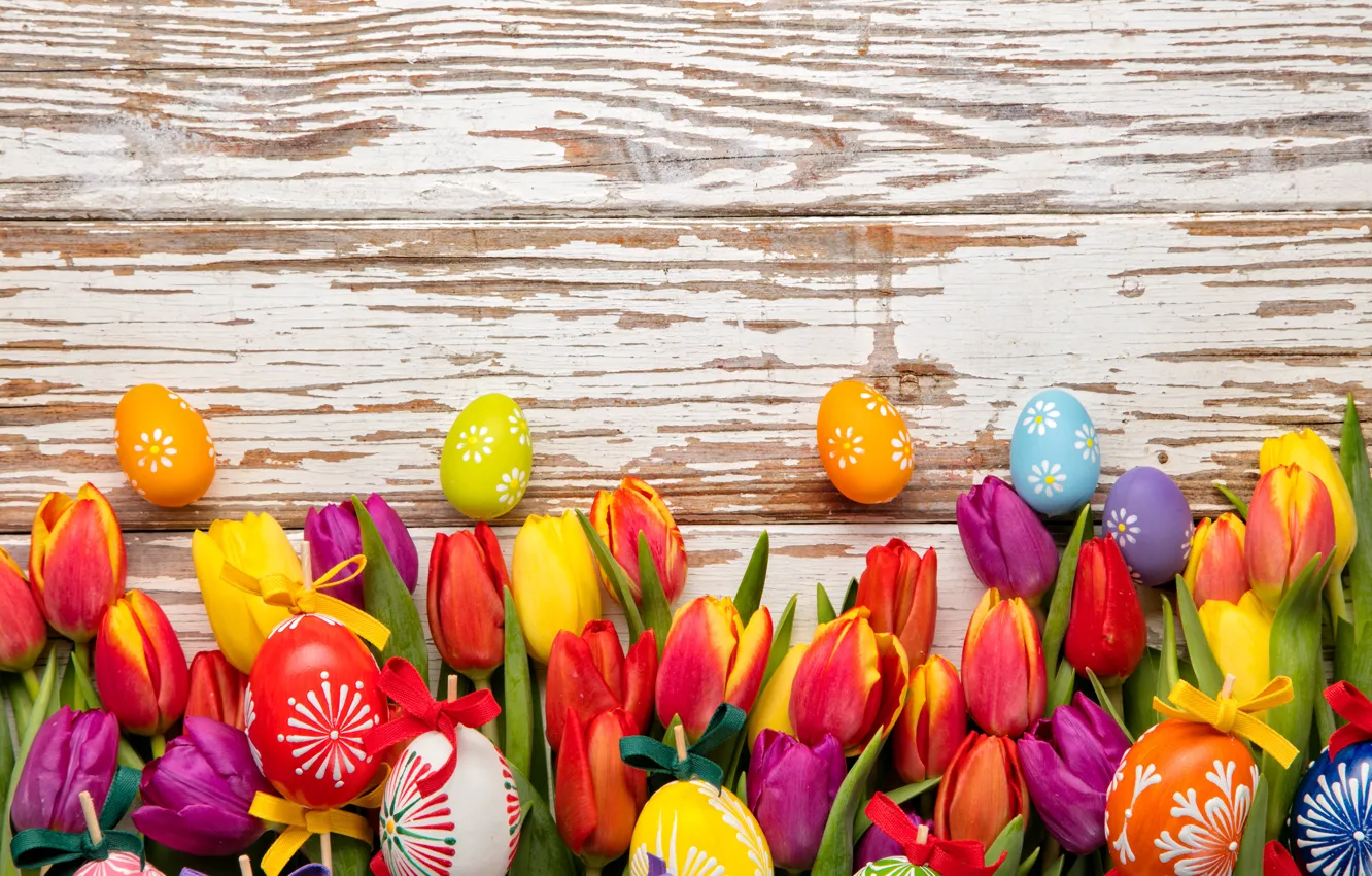 Фото обои colorful, Пасха, тюльпаны, happy, wood, flowers, tulips, spring
