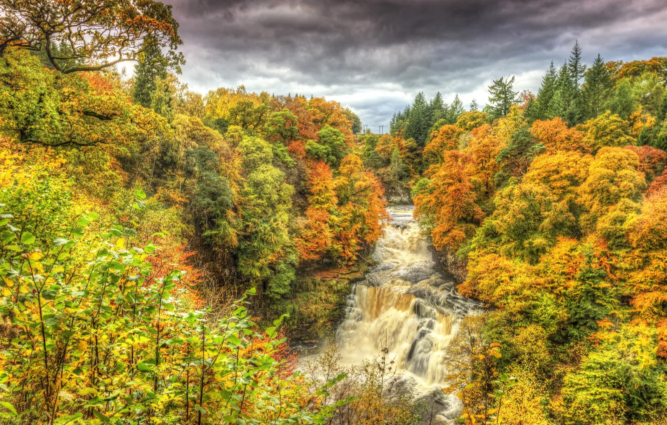 Фото обои осень, лес, деревья, пейзаж, водопад, hdr, forest, autumn