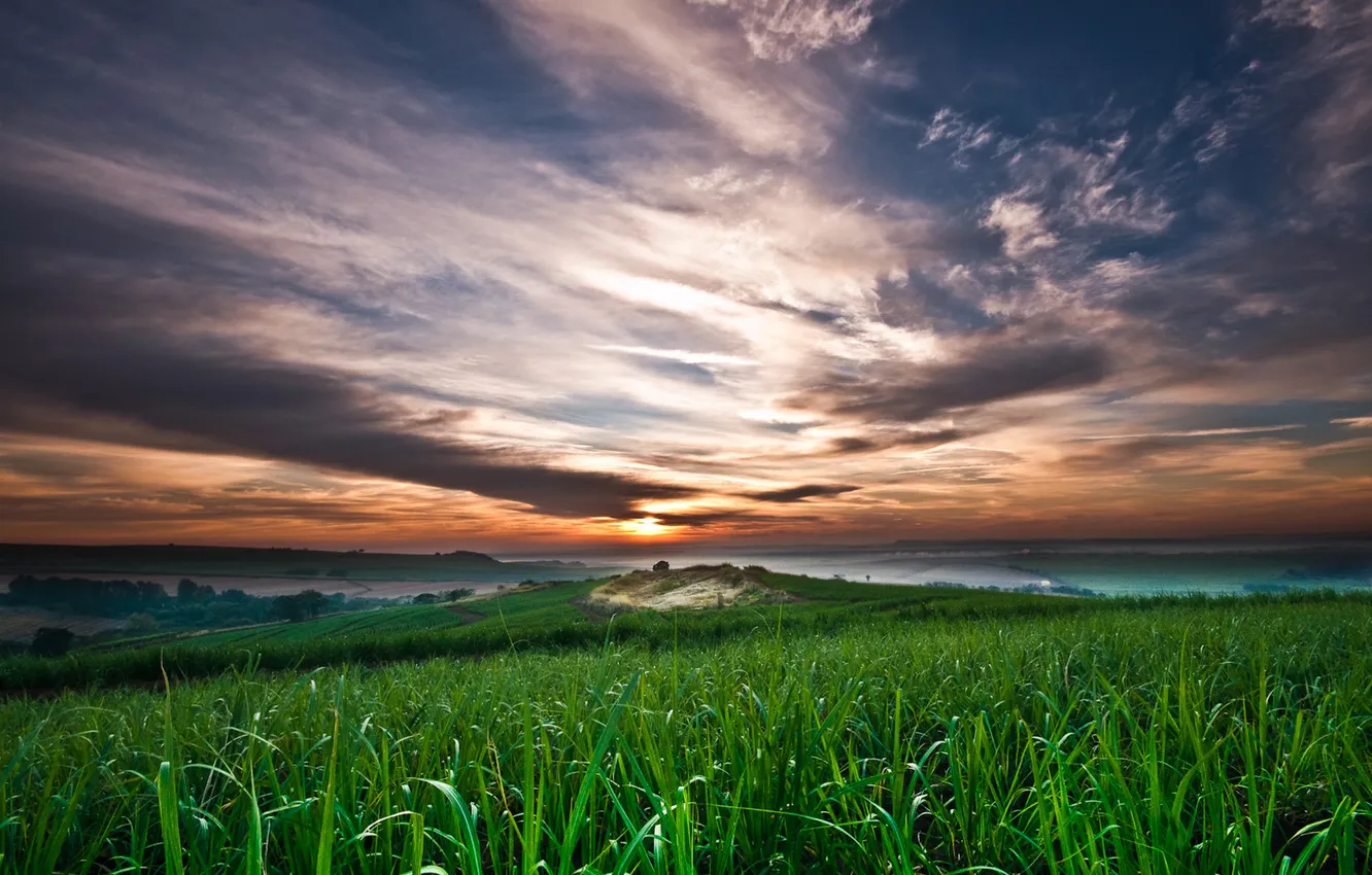 Фото обои небо, трава, облака, закат, поля