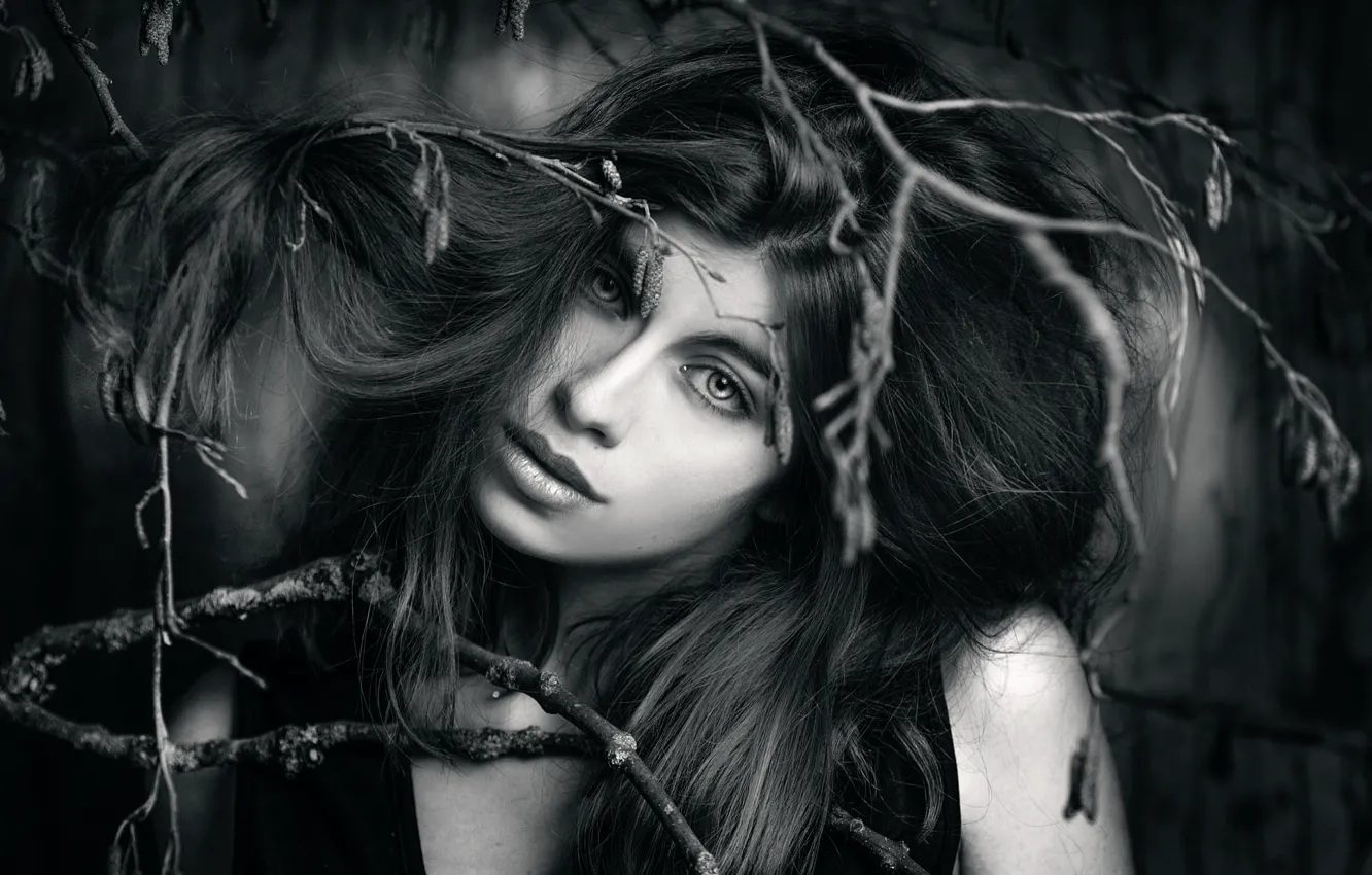 Фото обои девушка, ветки, Joachim Bergauer, In the Wood