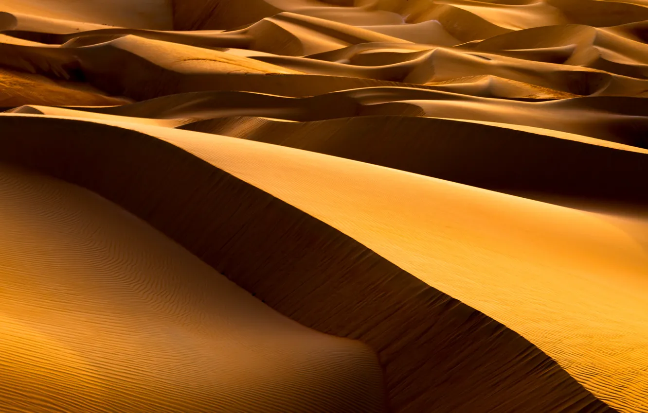 Фото обои природа, пустыня, дюны
