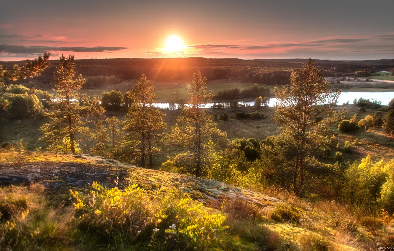Фото обои лес, солнце, деревья, закат, природа, река, Столыпин Юрий