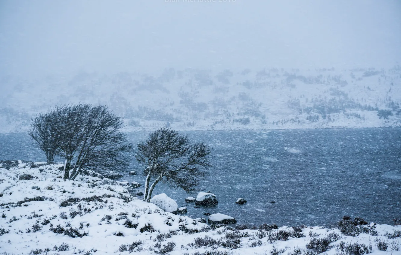 Фото обои зима, снег, река, метель