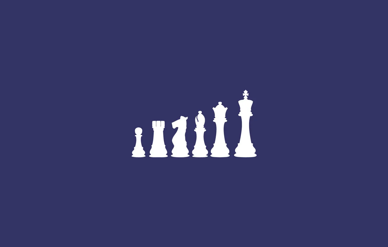 Фото обои конь, слон, шахматы, пешка, chess, король, ладья, ферзь