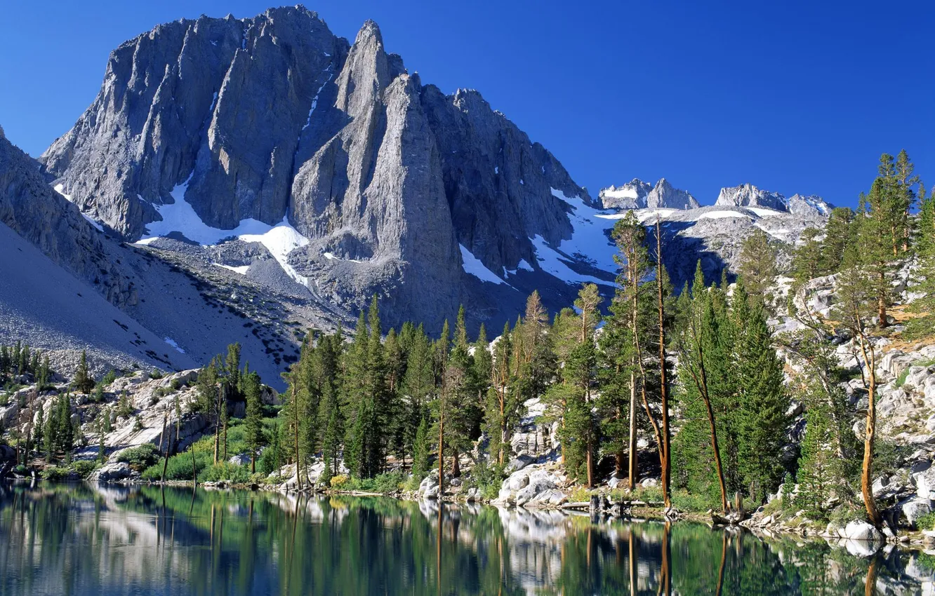 Фото обои лес, горы, озеро, Калифорния, США