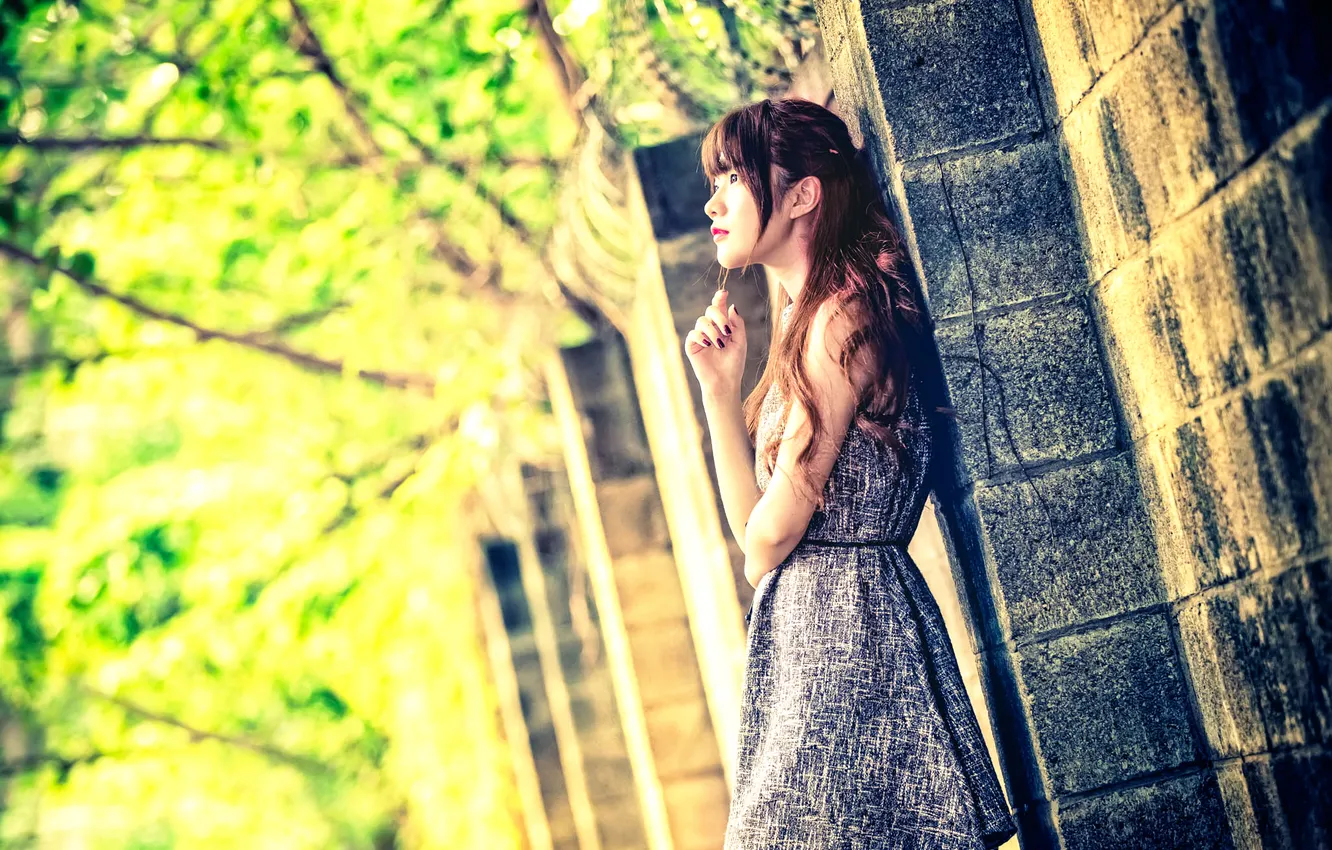 Фото обои красотка, восточная, Xin