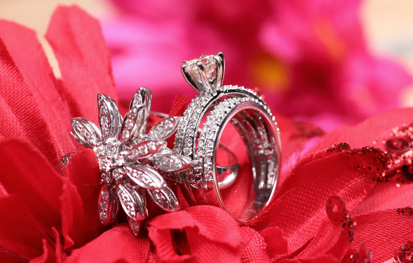 Фото обои кольцо, украшение, свадьба