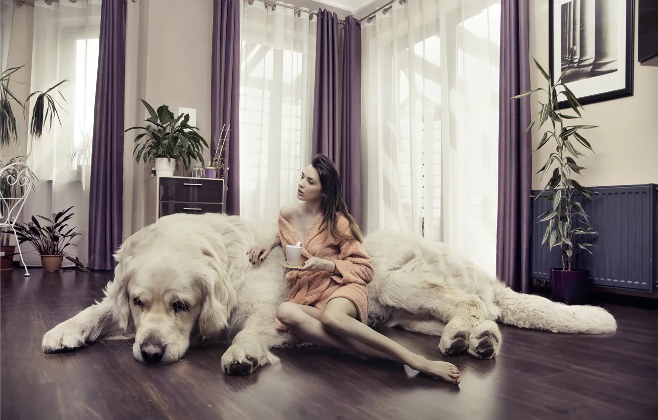 Фото обои девушка, креатив, комната, собака, растения, кружка, шатенка, шторы