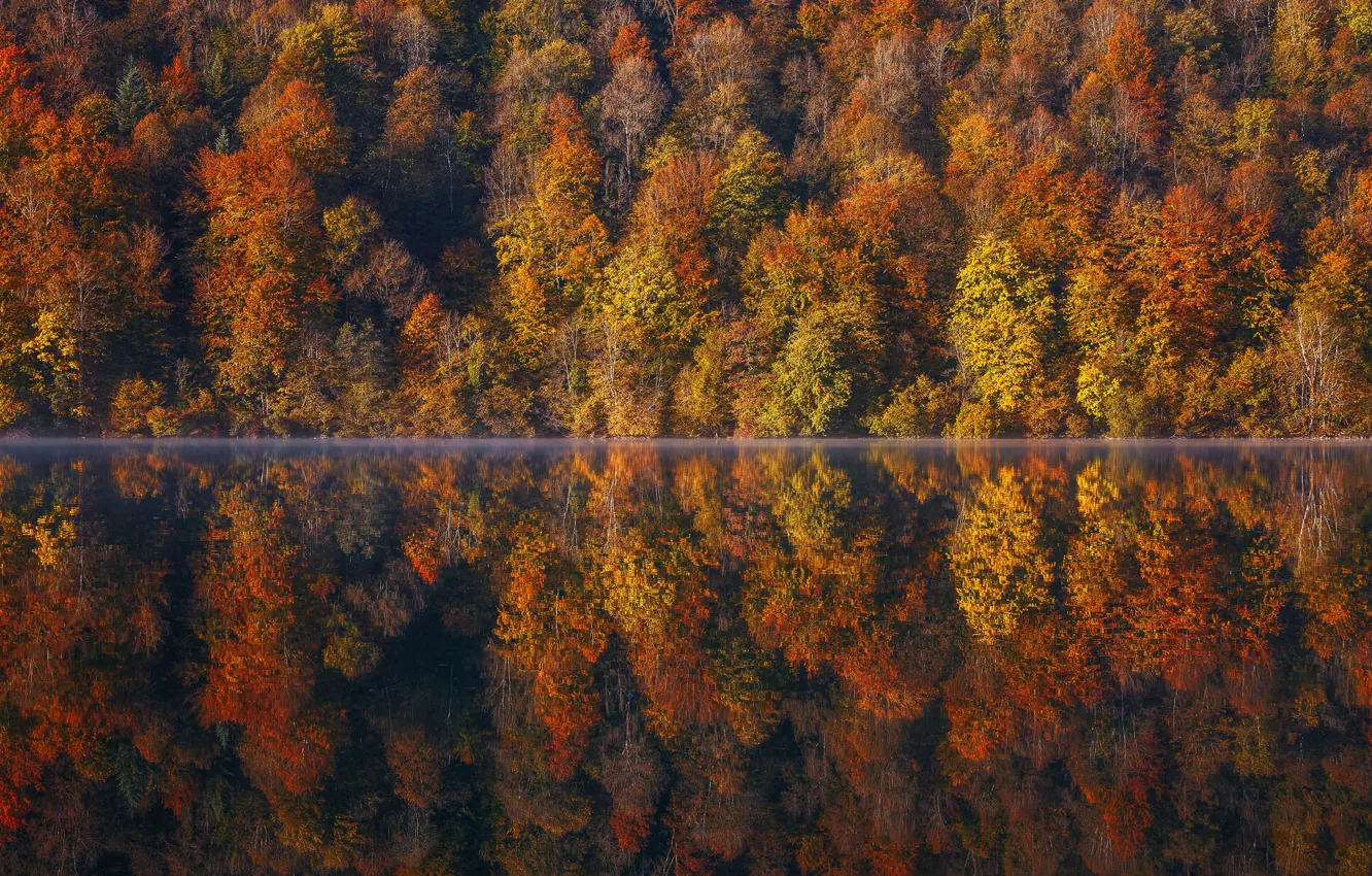 Фото обои осень, лес, деревья, озеро, отражение, Франция, France, Франш-Конте