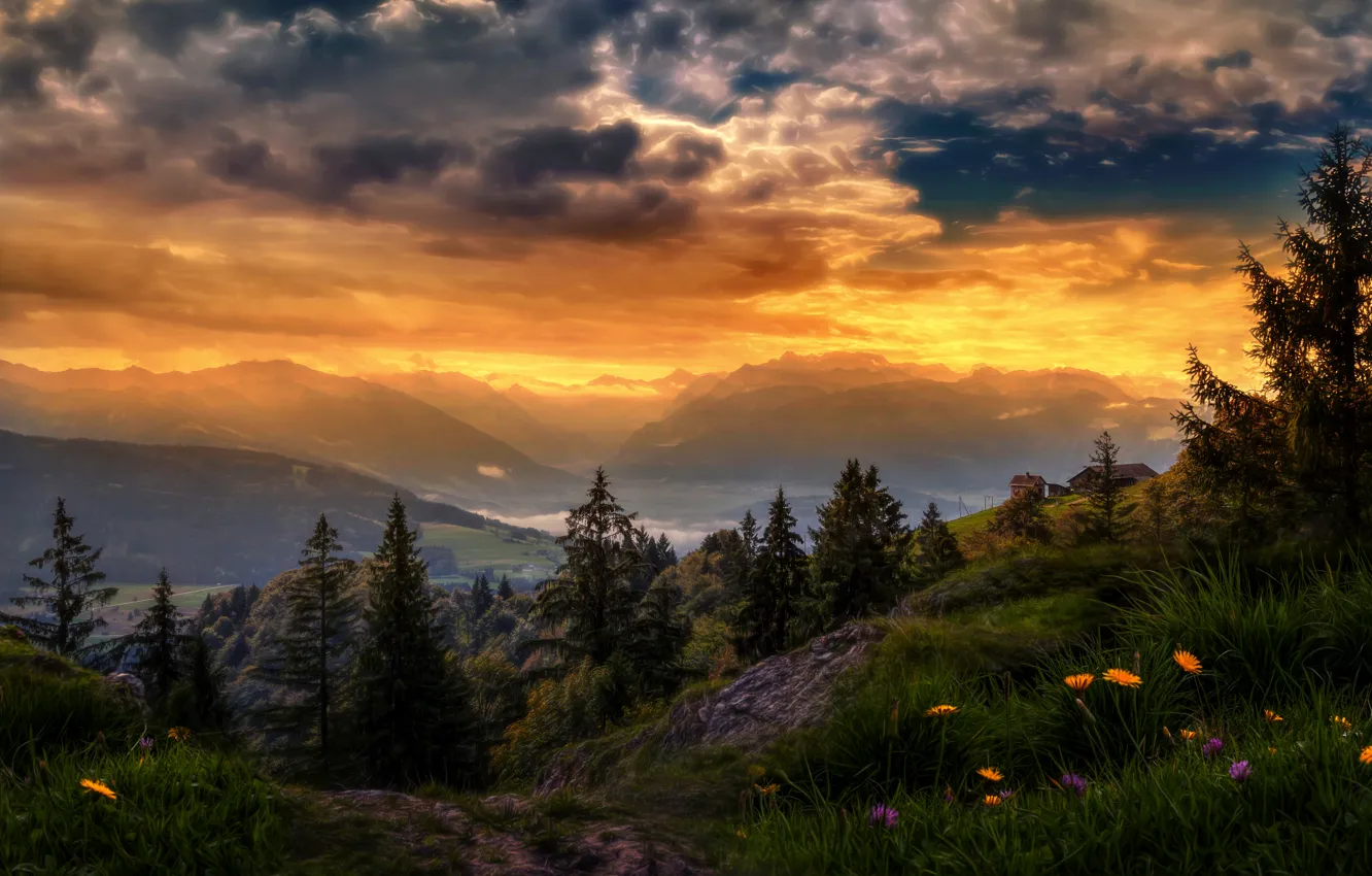 Фото обои небо, облака, деревья, цветы, горы, обработка, Switzerland