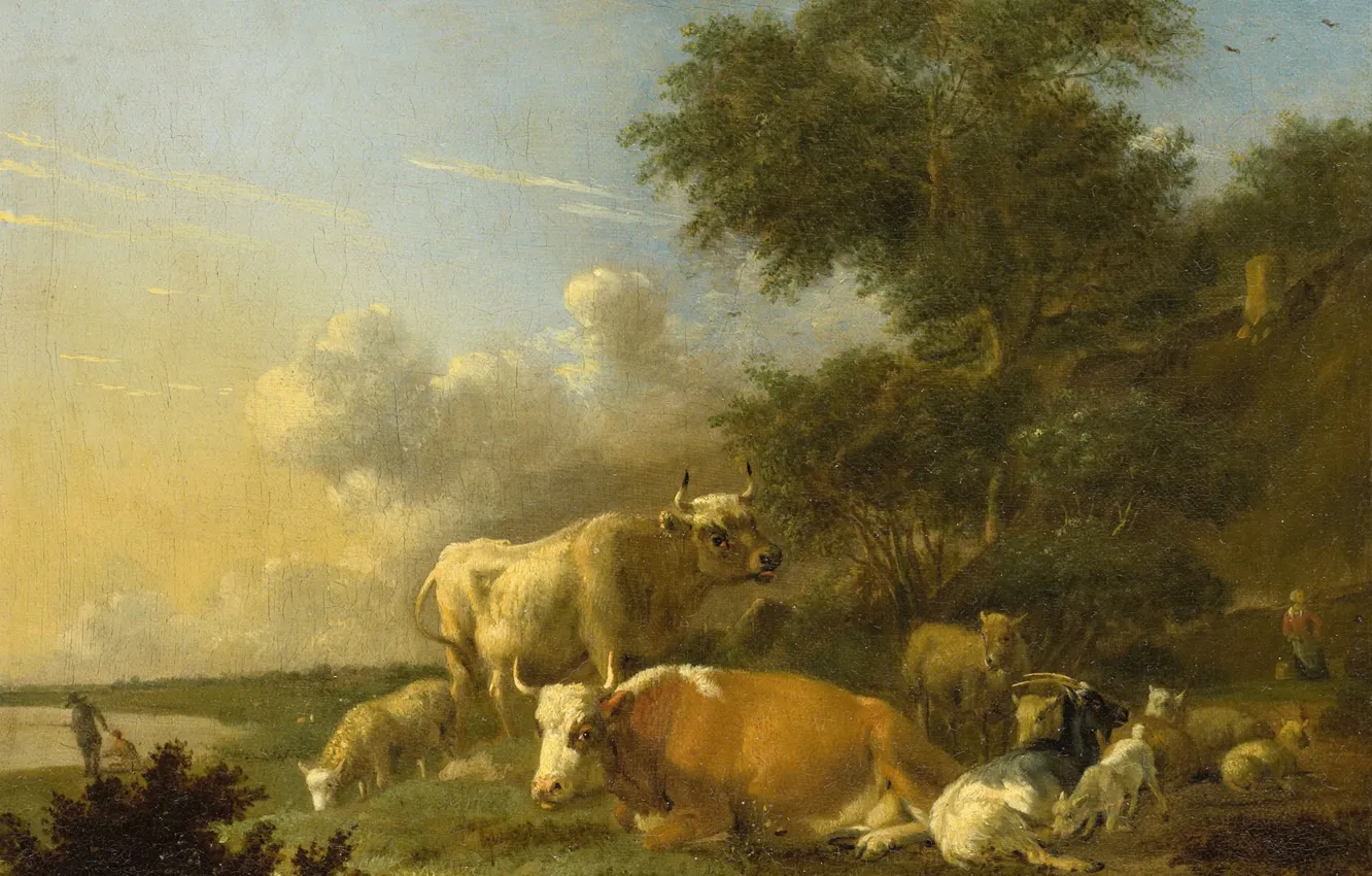 Фото обои масло, картина, холст, 1688, Albert Klomp, Альберт Кломп, Пейзаж с крупным рогатым скотом