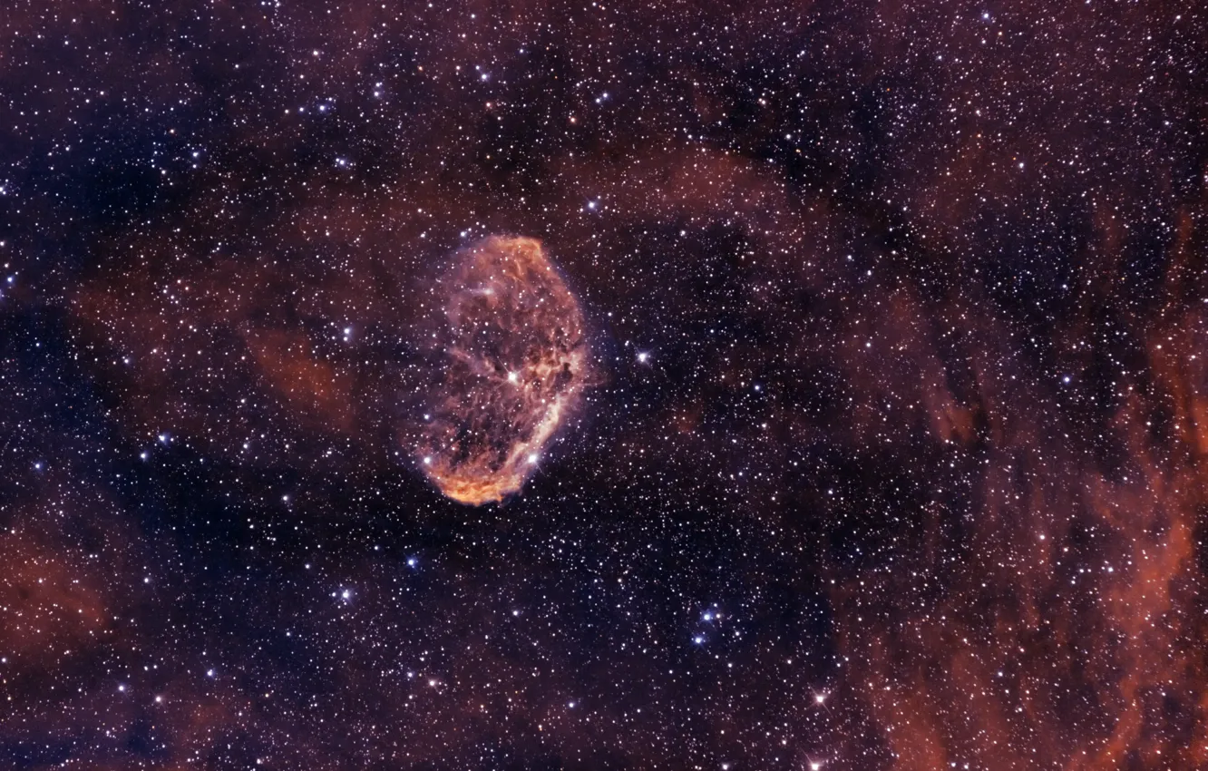 Фото обои Лебедь, в созвездии, Туманность Полумесяц, Crescent Nebula