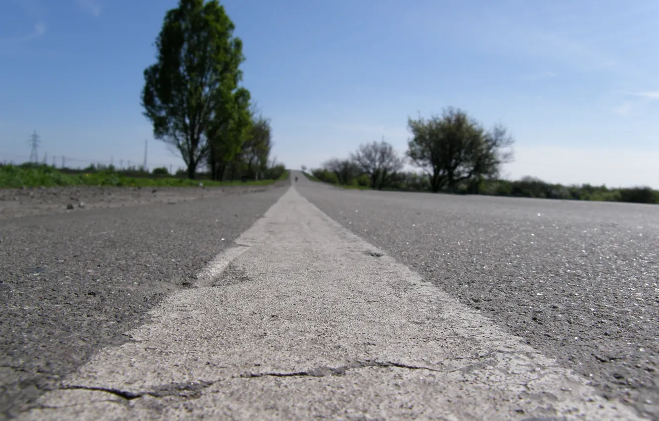 Фото обои дорога, небо, деревья