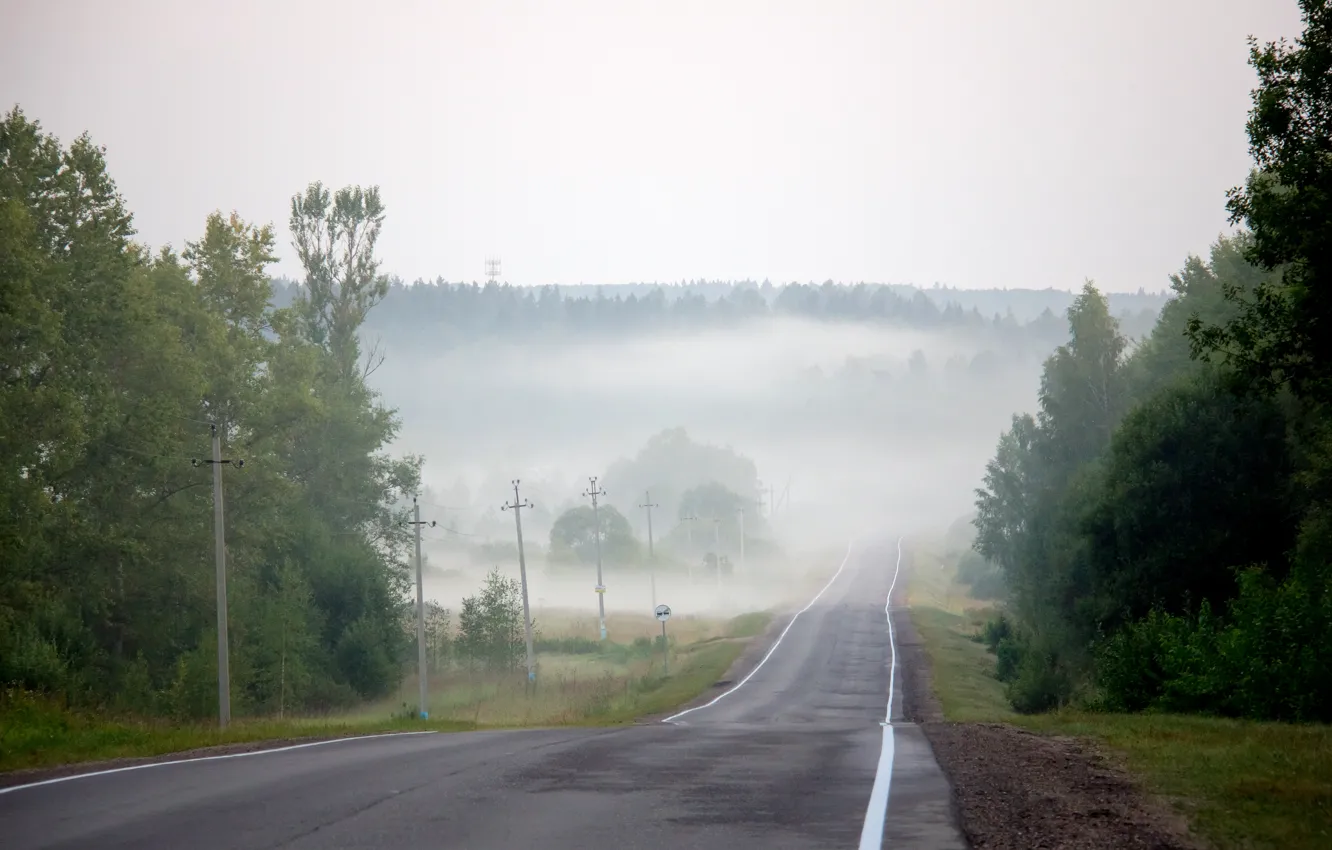 Фото обои дорога, лето, туман, вечер, дымка, август