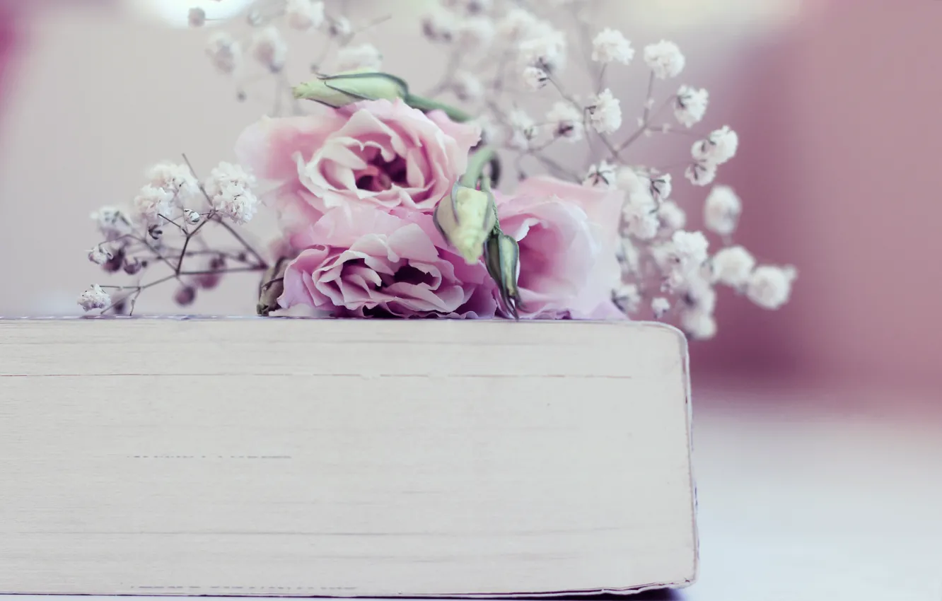 Фото обои цветы, книга, бутоны