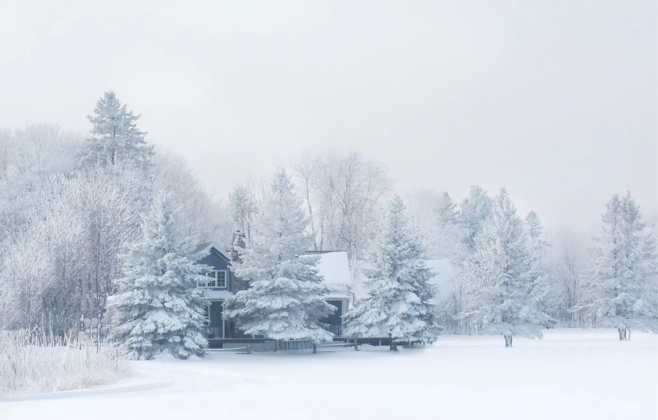Фото обои зима, лес, снег, природа, мороз, домик