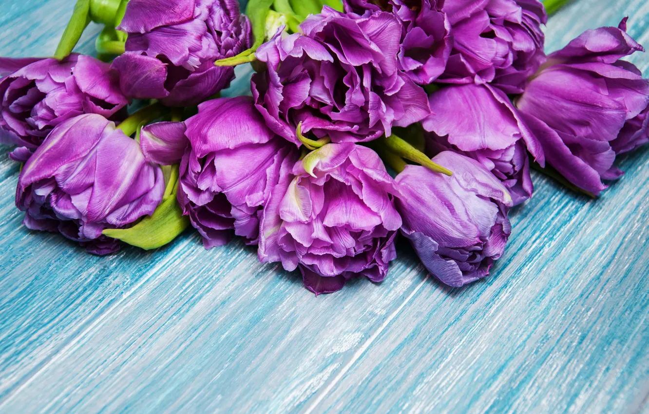 Фото обои тюльпаны, wood, blue, tulips, bouguet