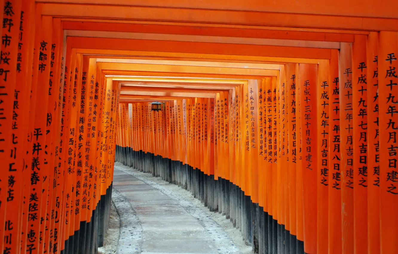 Фото обои япония, храм, Киото, Fushimi Inari