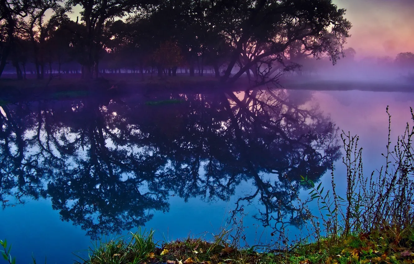 Фото обои лес, отражение, река