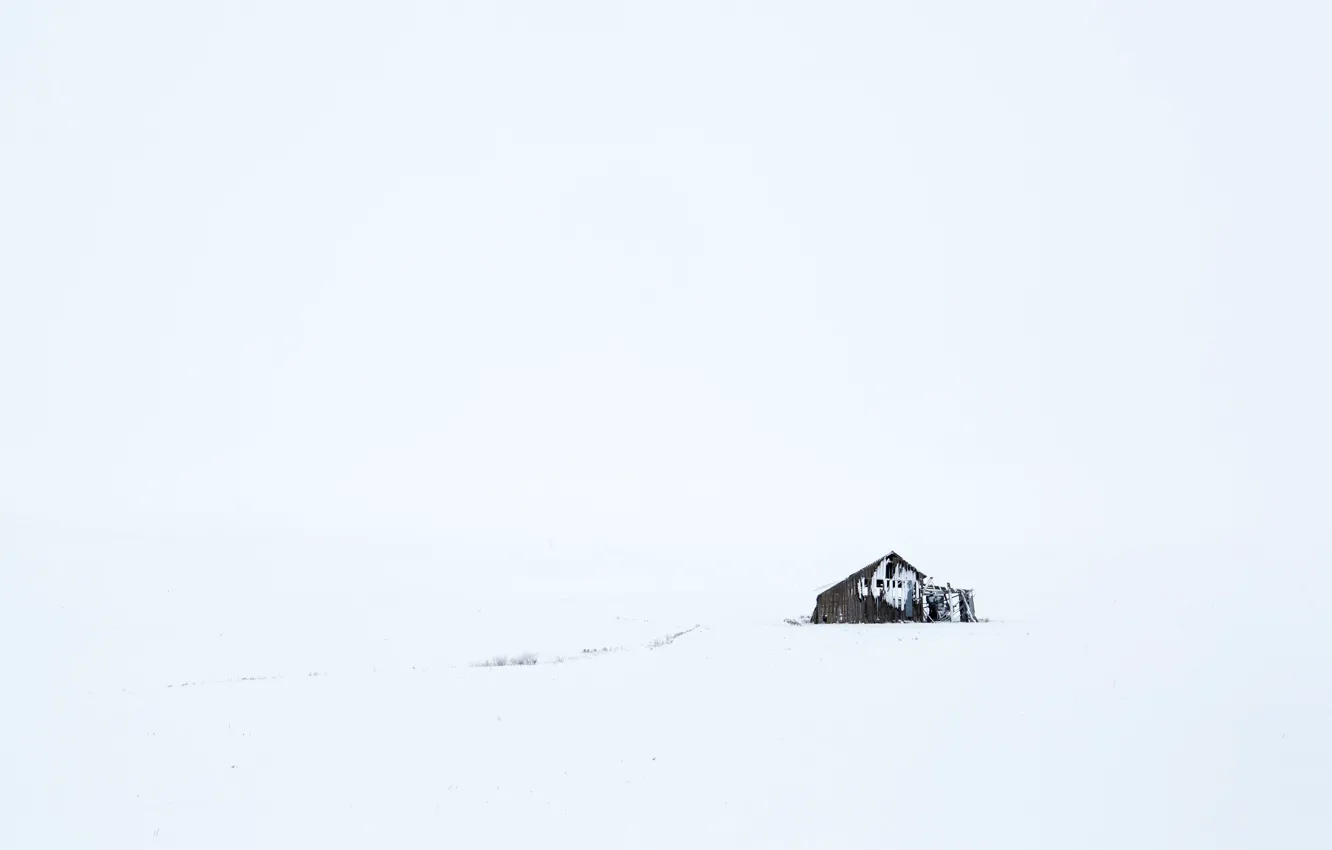 Фото обои зима, поле, снег, сараи