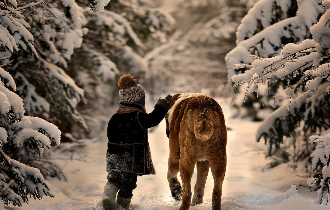 Фото обои зима, снег, деревья, природа, ребенок, собака