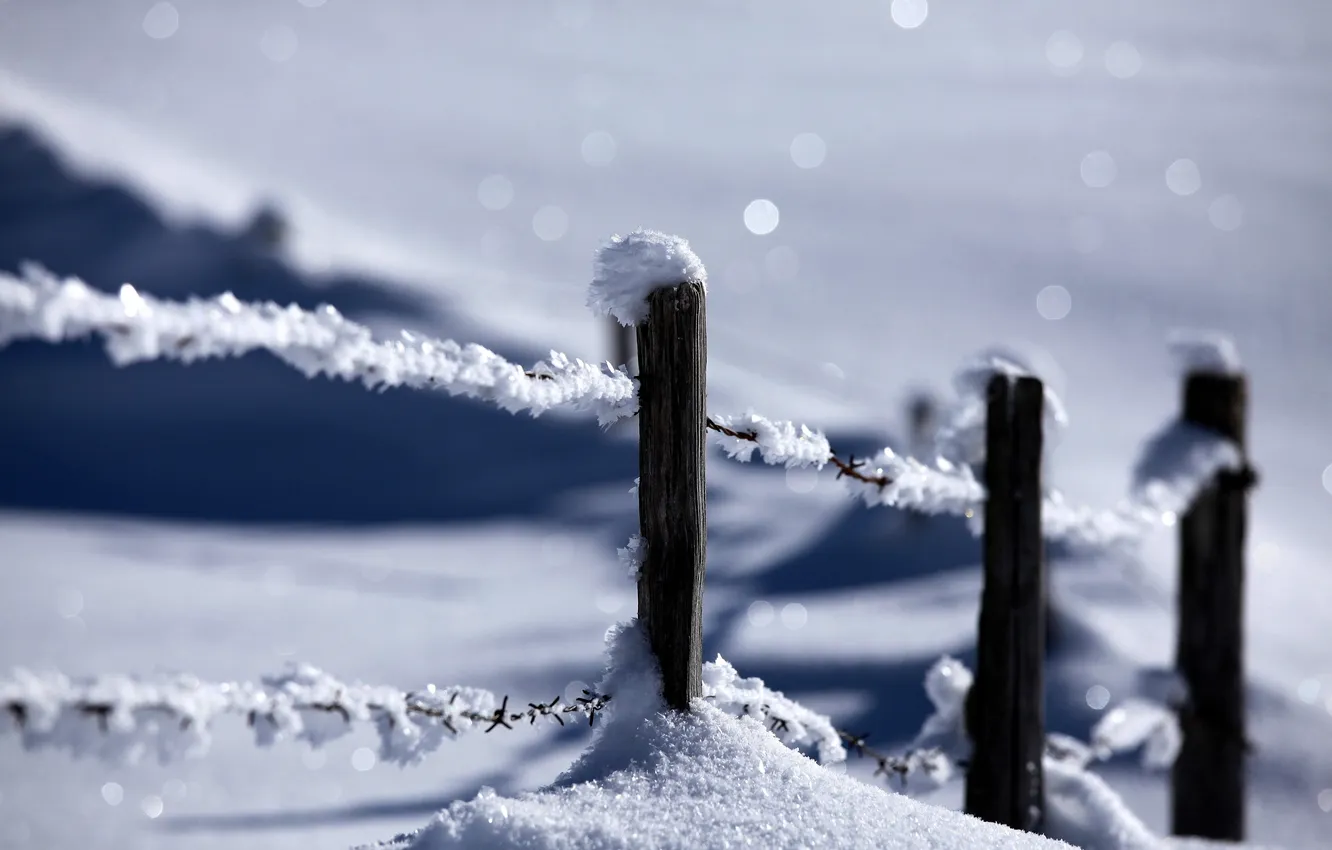 Фото обои зима, снег, природа, забор