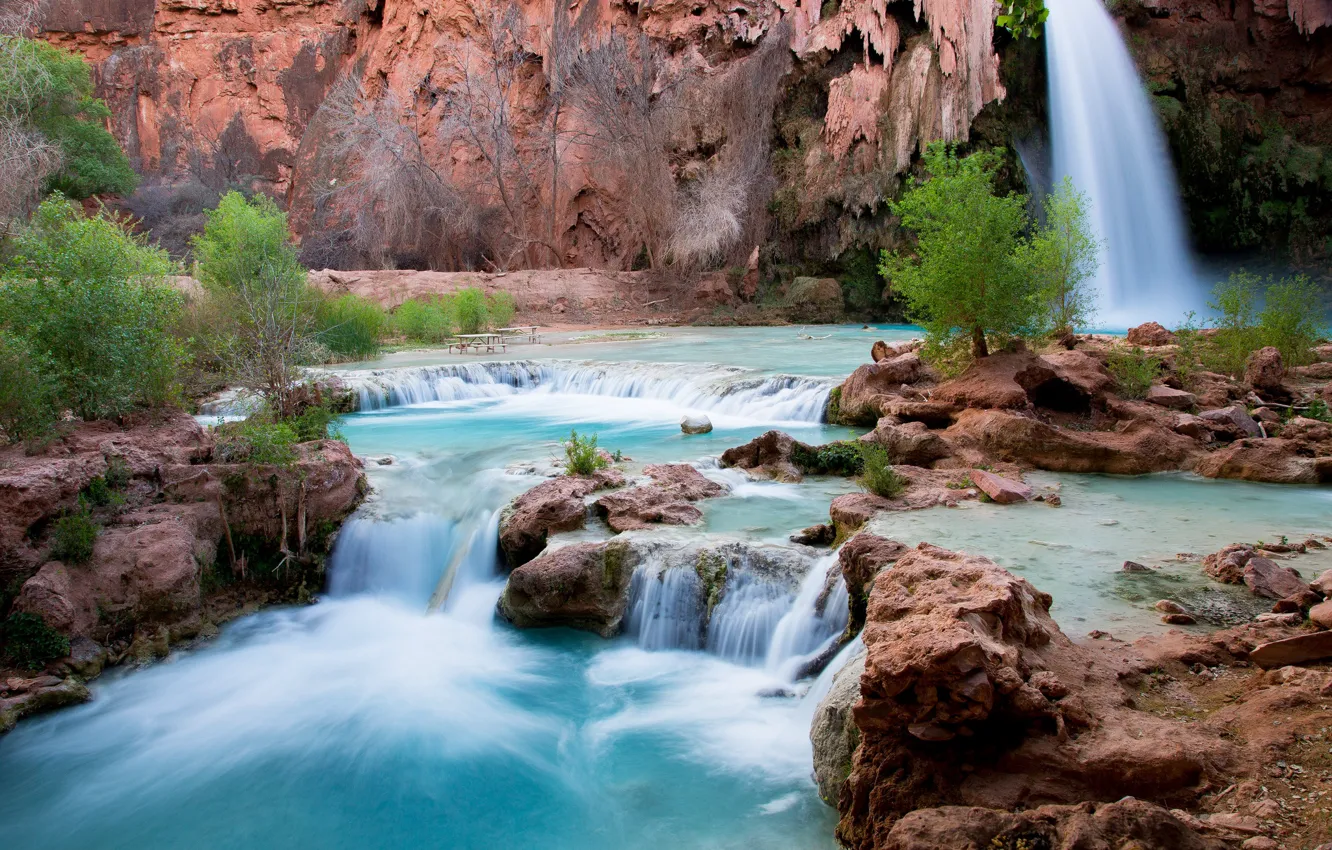 Фото обои вода, деревья, пейзаж, природа, водопад, Arizona, Havasu Falls