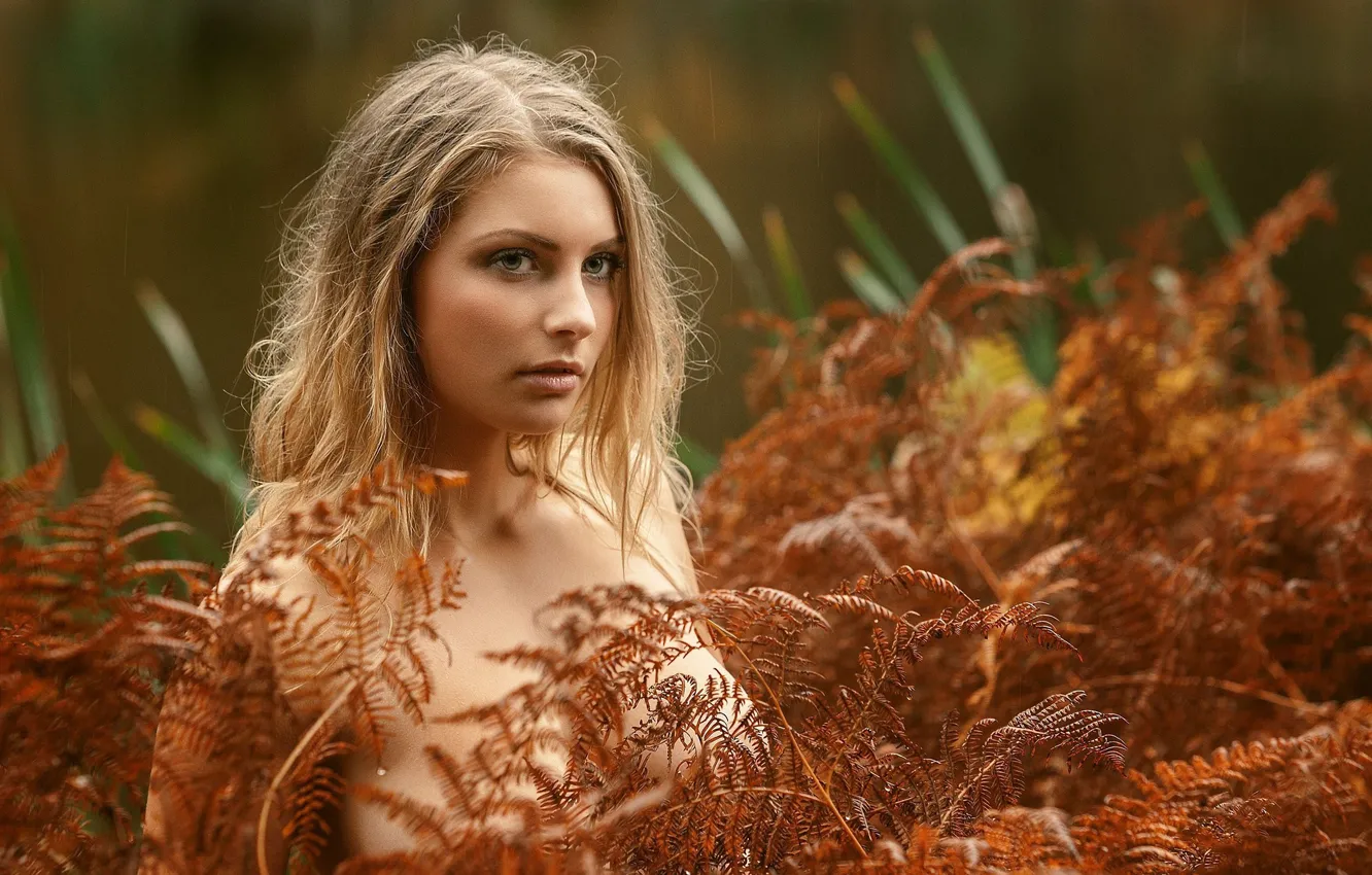 Фото обои осень, растения, блондинка, боке, Tonny Jørgensen