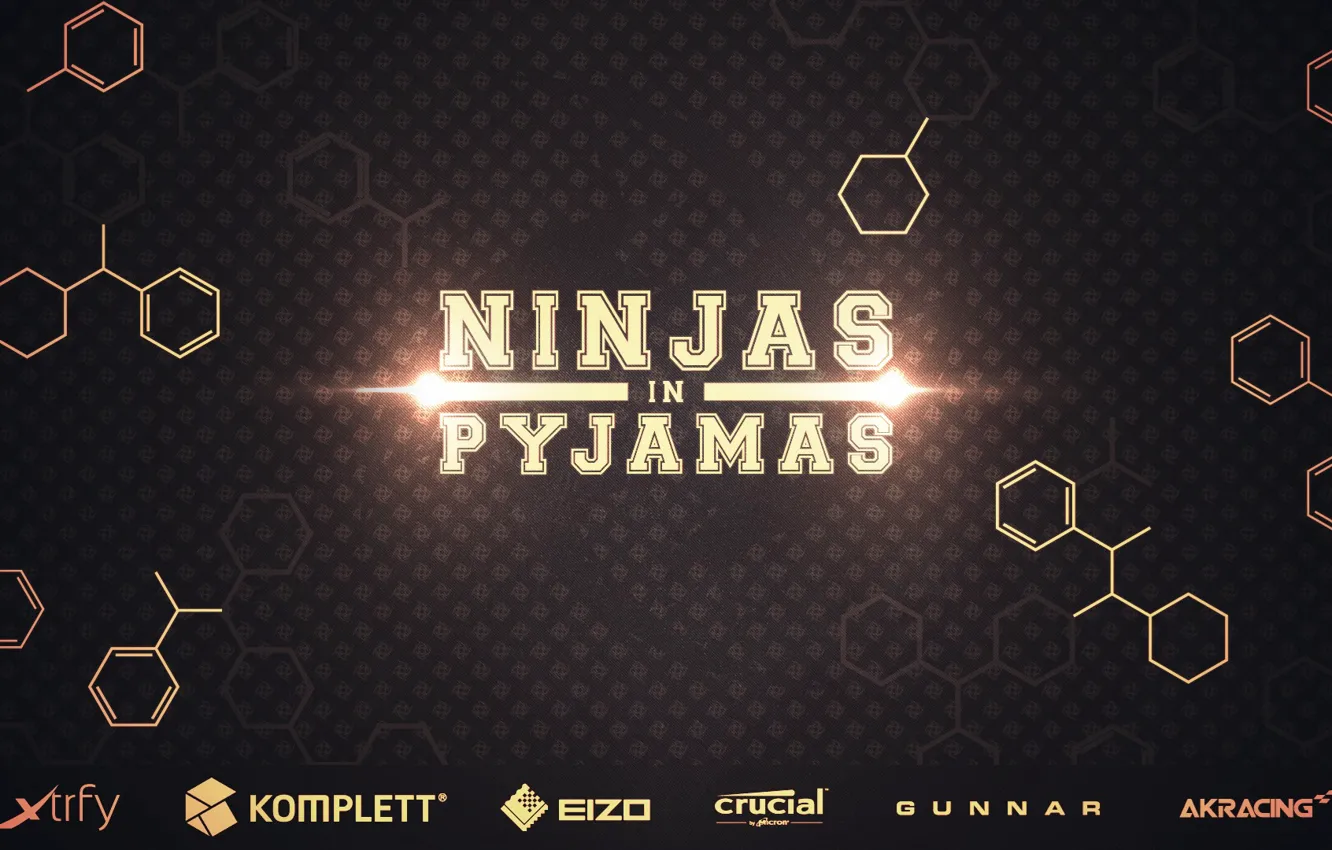 Фото обои games, team, pro, pro team, NIP, ninjas in pyjamas